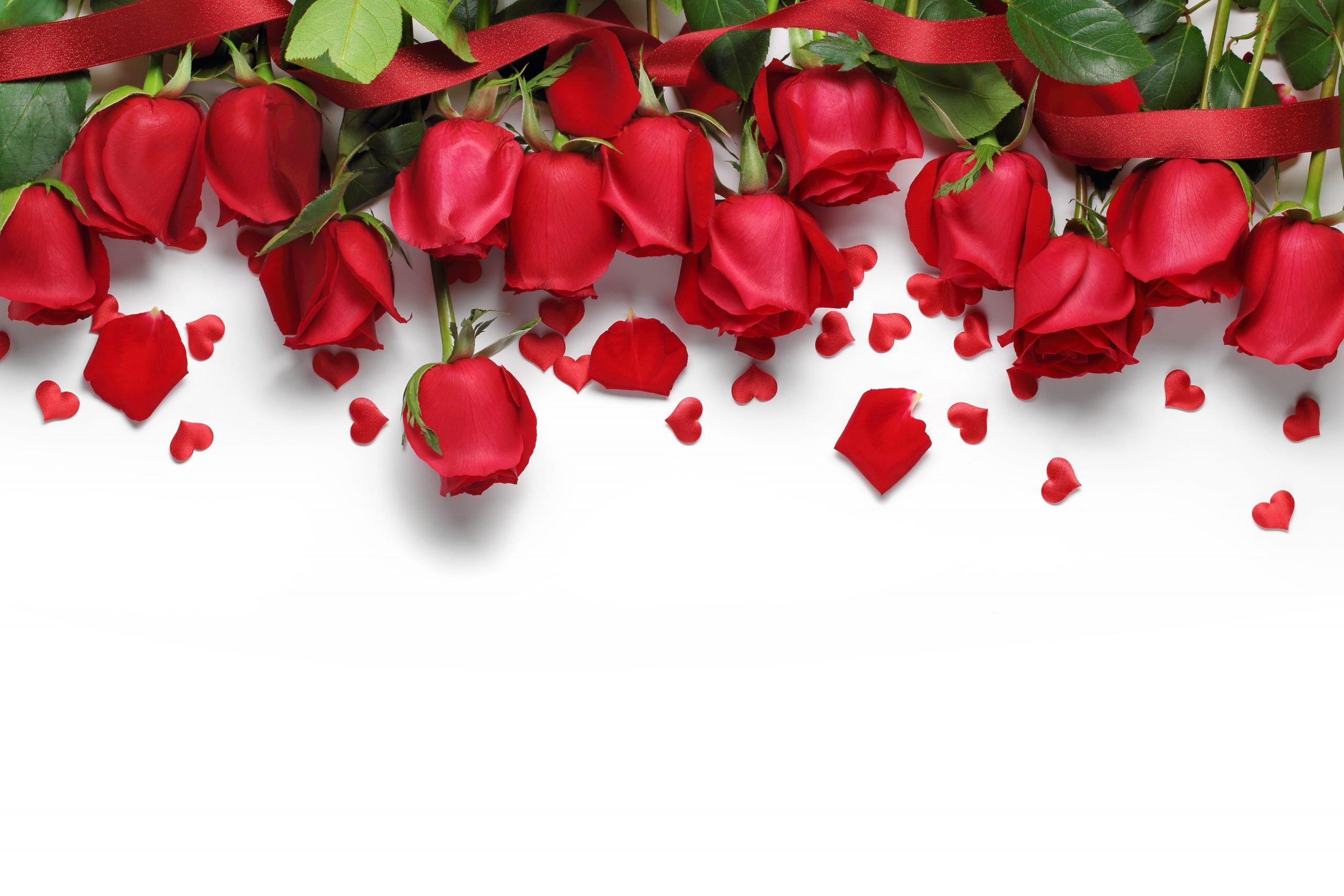 2560x1707 Wallpaper red roses, hearts, love .
