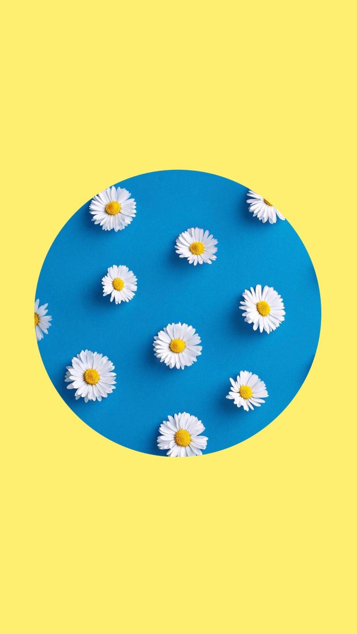 1242x2204 Aesthetic Picture Blue And Yellow .sadistria.
