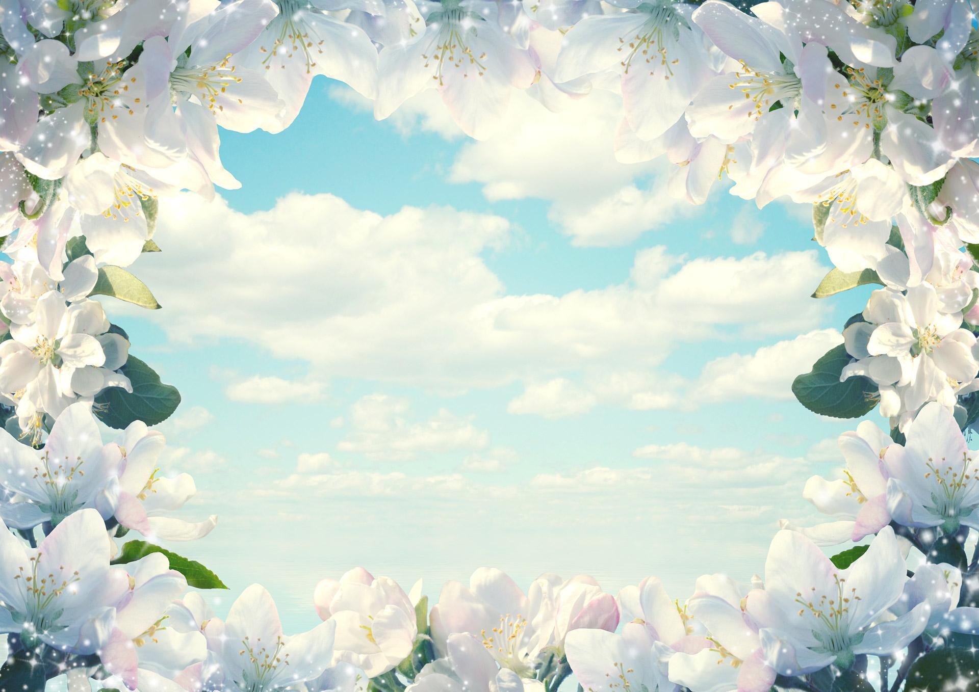 1920x1358 Frame Of Flowers Photo Frame .