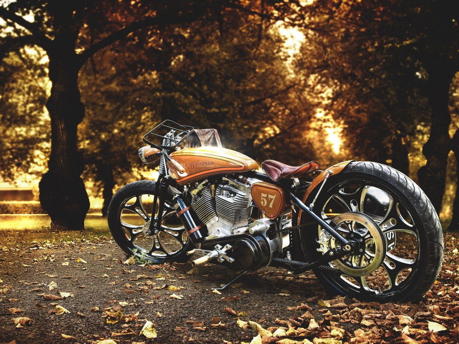 1600x1200 Brown and gray cruiser motorcycle .
