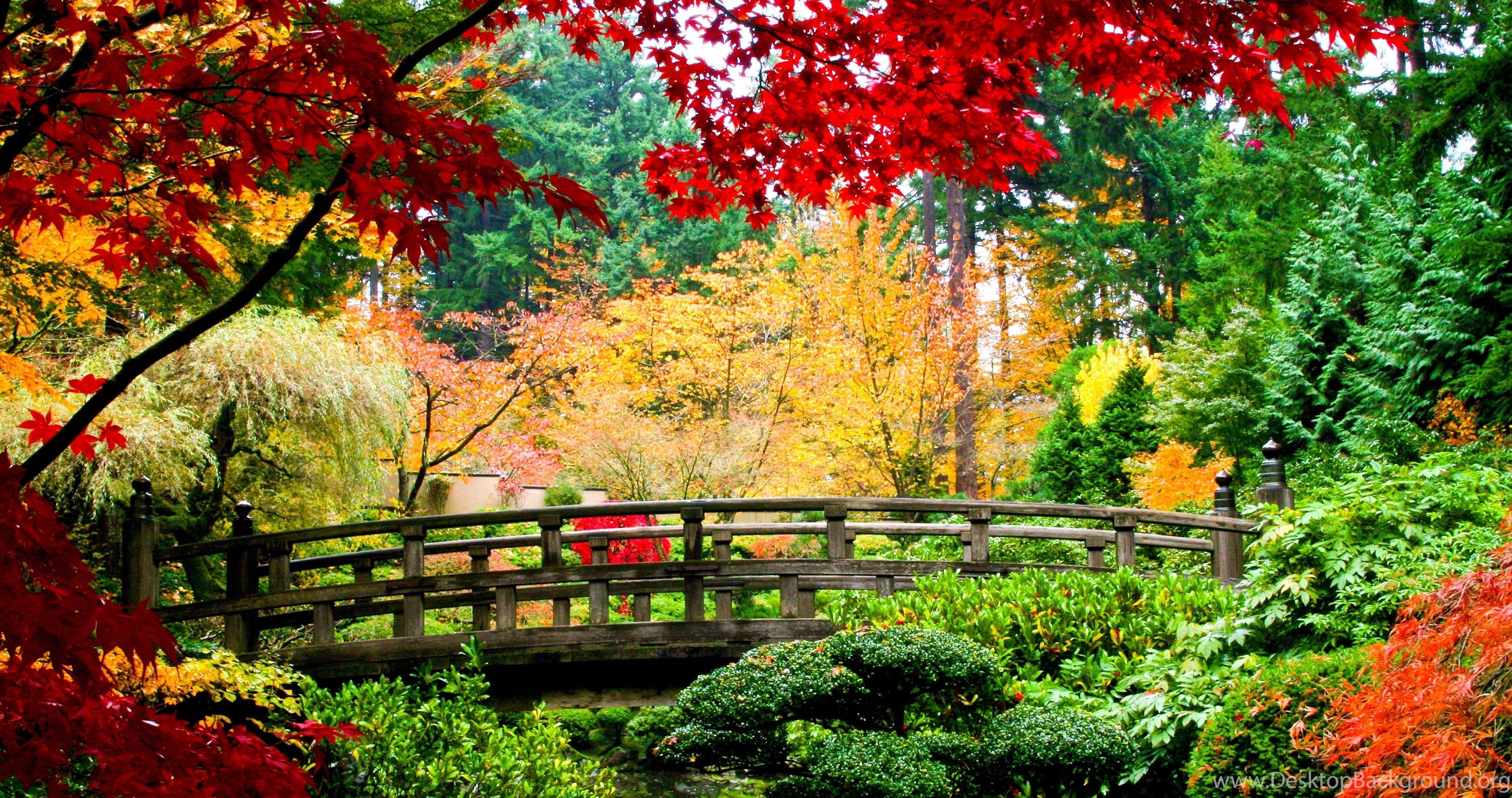 4096x2160 Flower Garden Wallpaper Design .