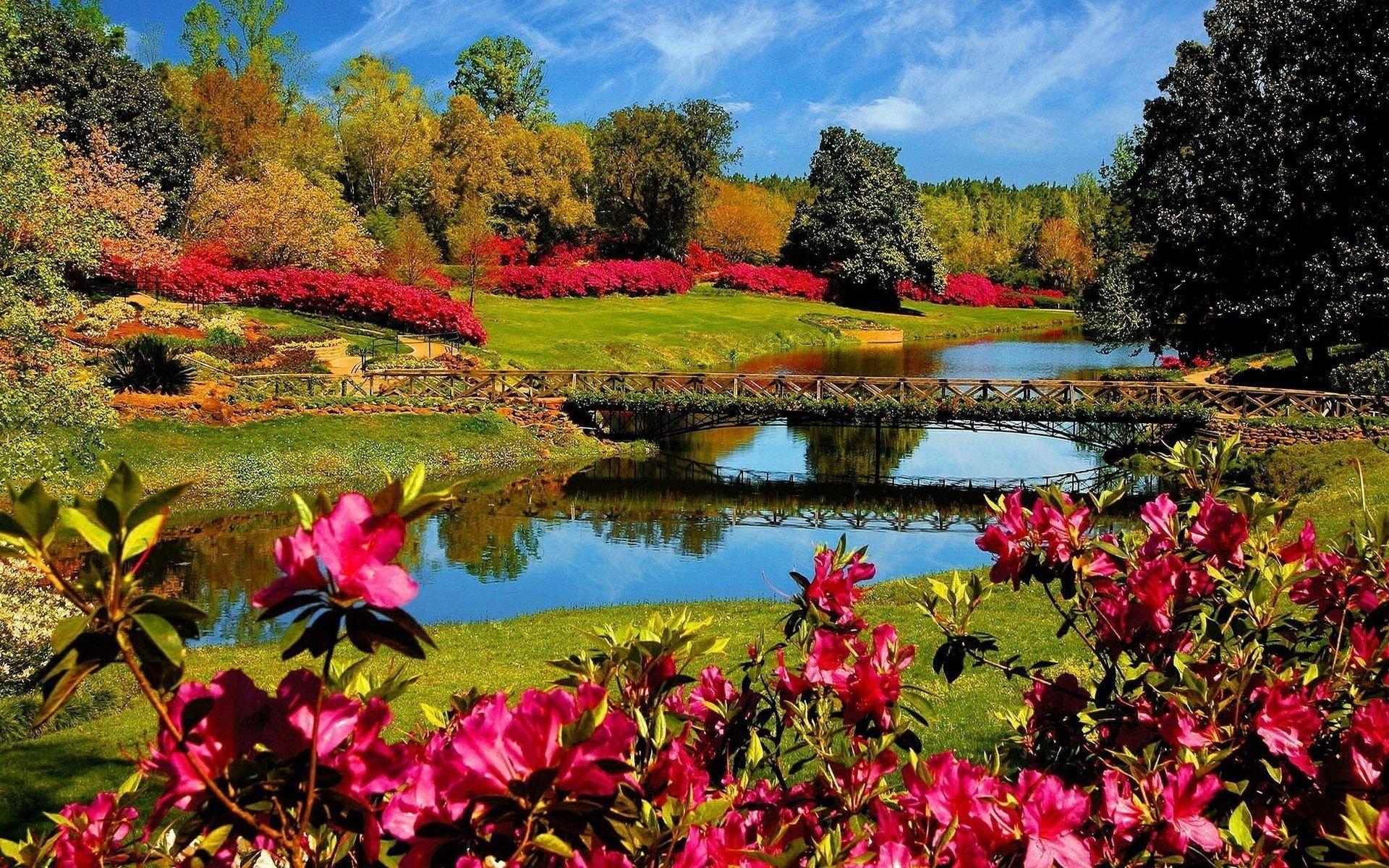 1920x1200 River Flower Garden Wallpaper