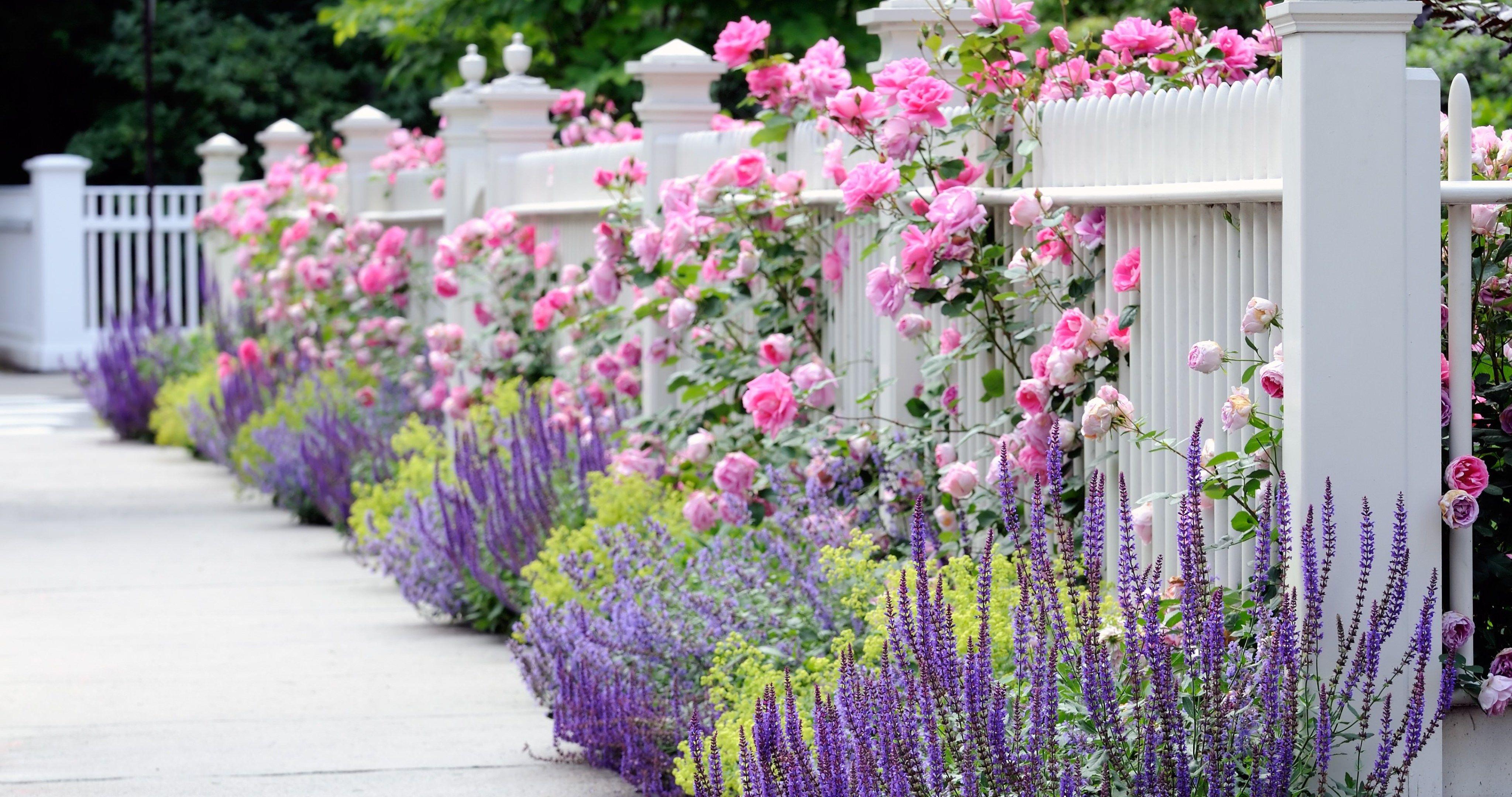 4096x2160 garden fence 4k ultra HD wallpaper .adwallpaper.xyz