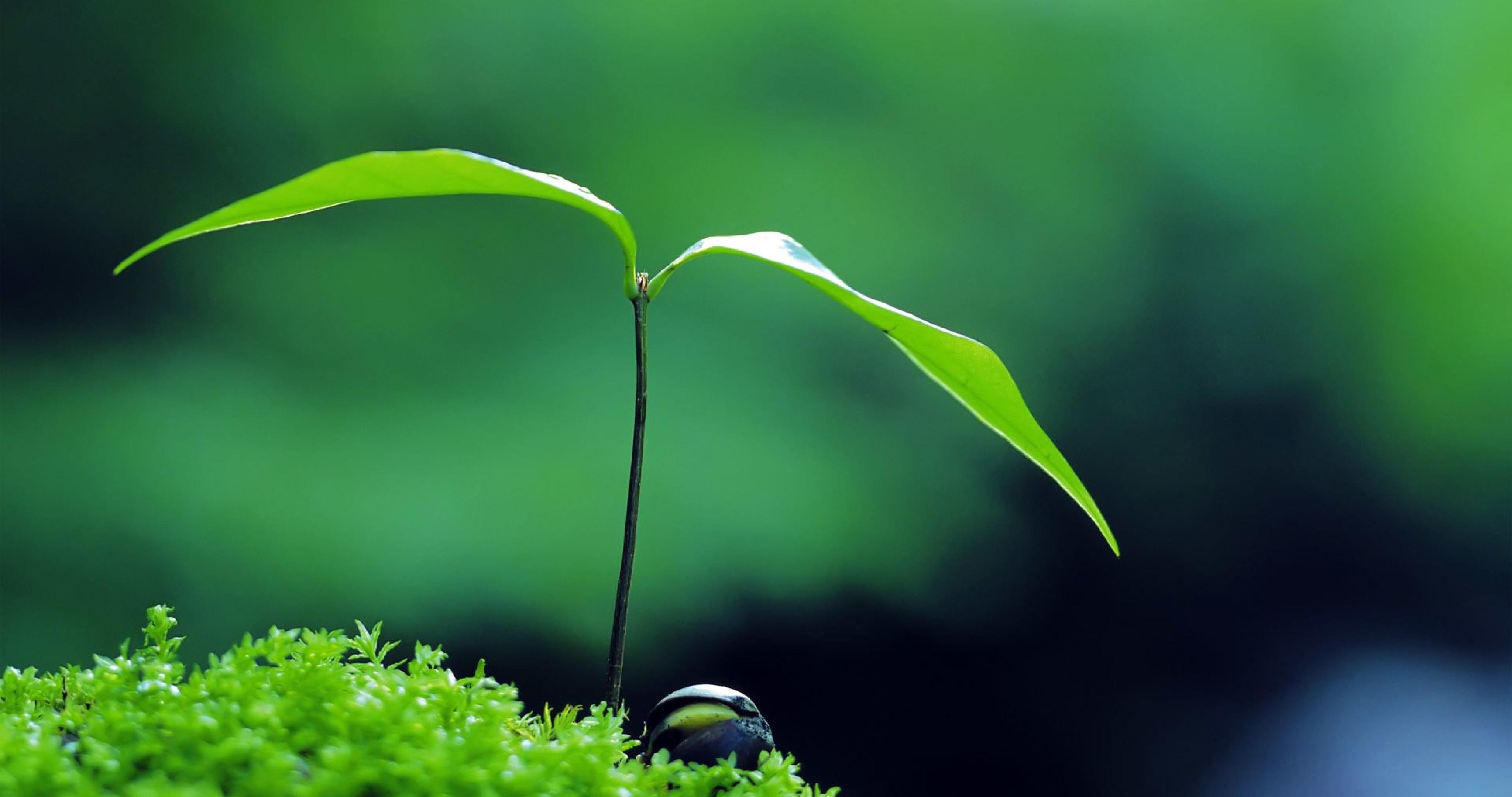 4096x2160 im.28: Zen 4K Wallpaper 4096x2160 px .