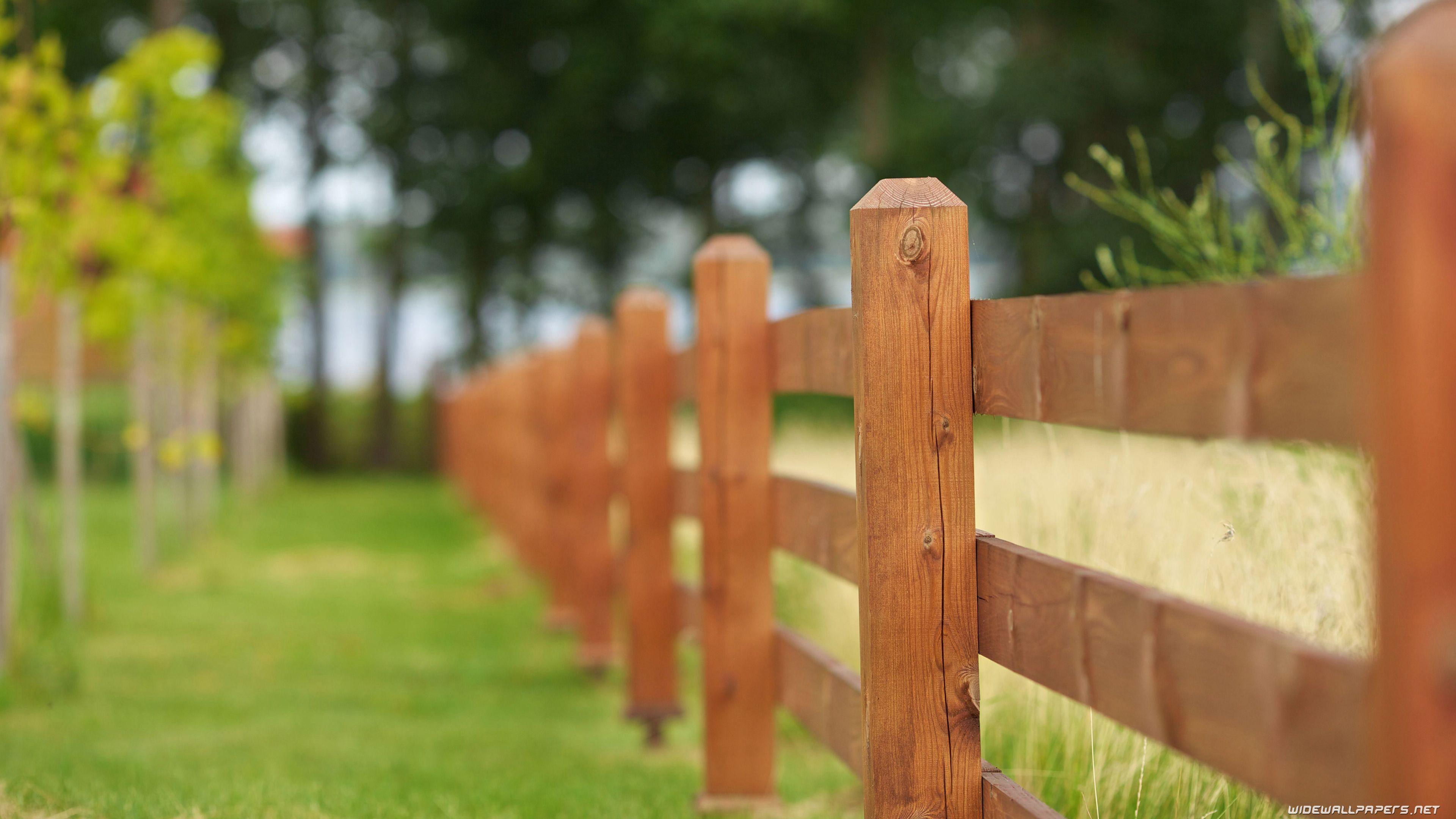 3840x2160 Hd 4k Garden Background .