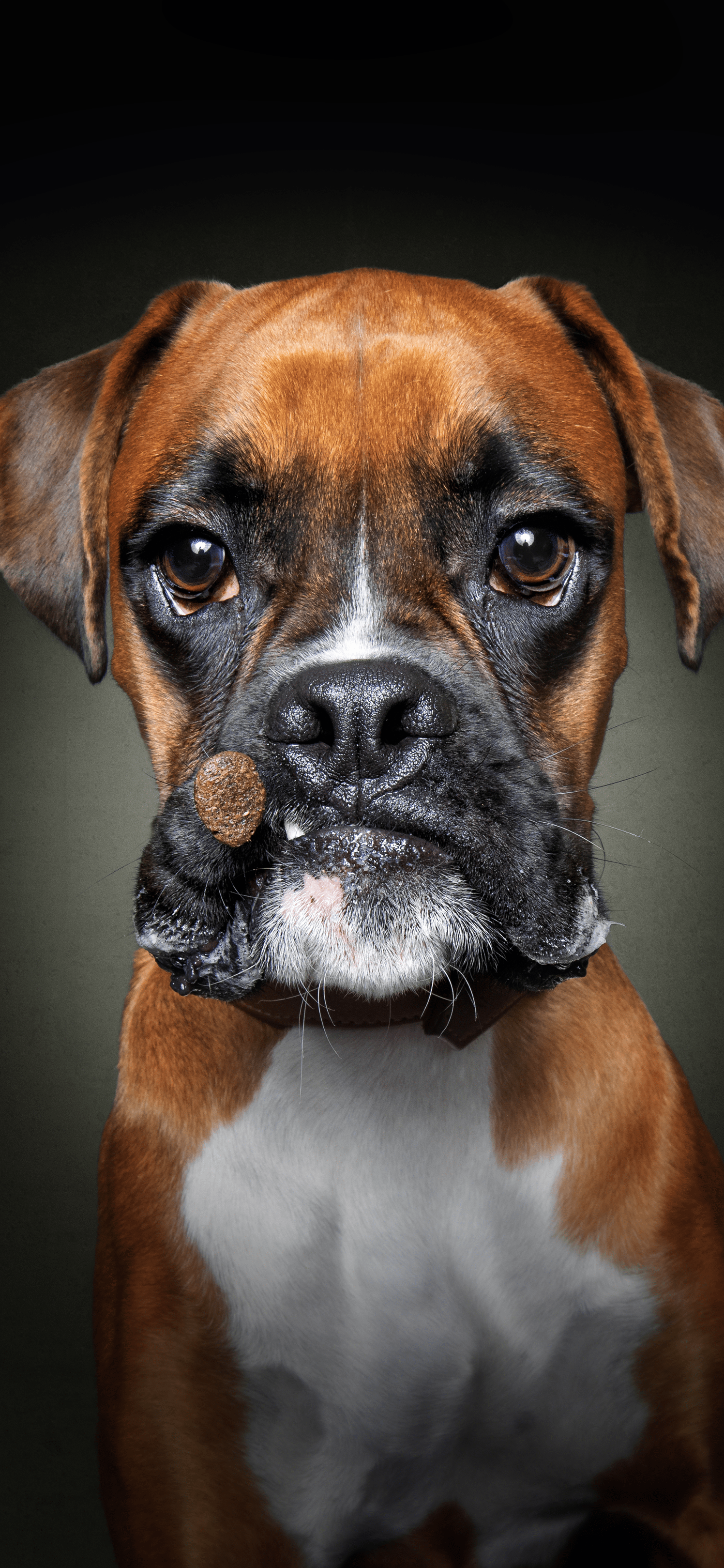 1496x3238 Download these adorable Christian .