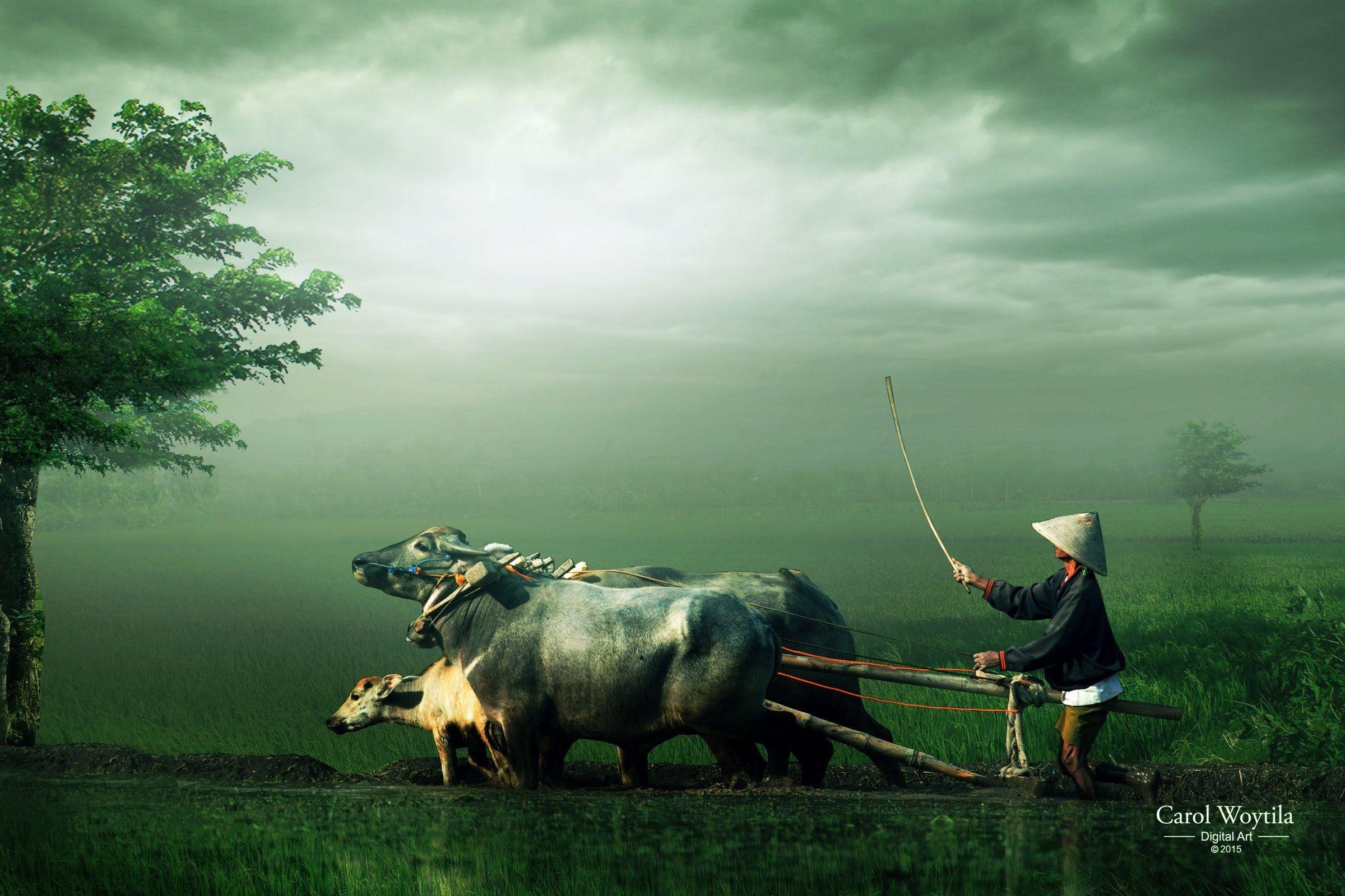 2400x1600 digital art photography wallpaper high resolution HD