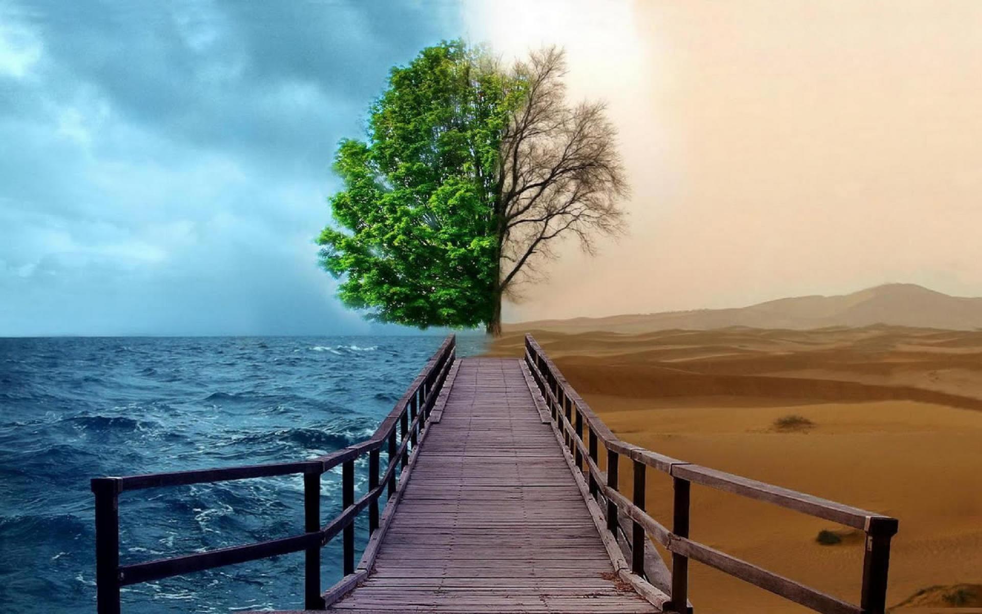 1920x1200 Photography Different Situations Art Wallpaper Wallpaper