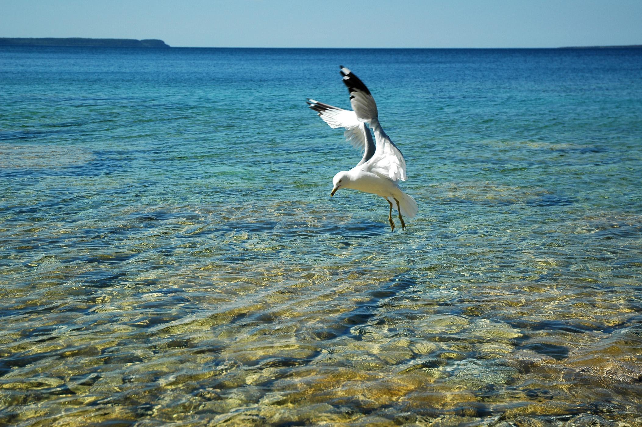 2106x1400 Crystal Clear Ling