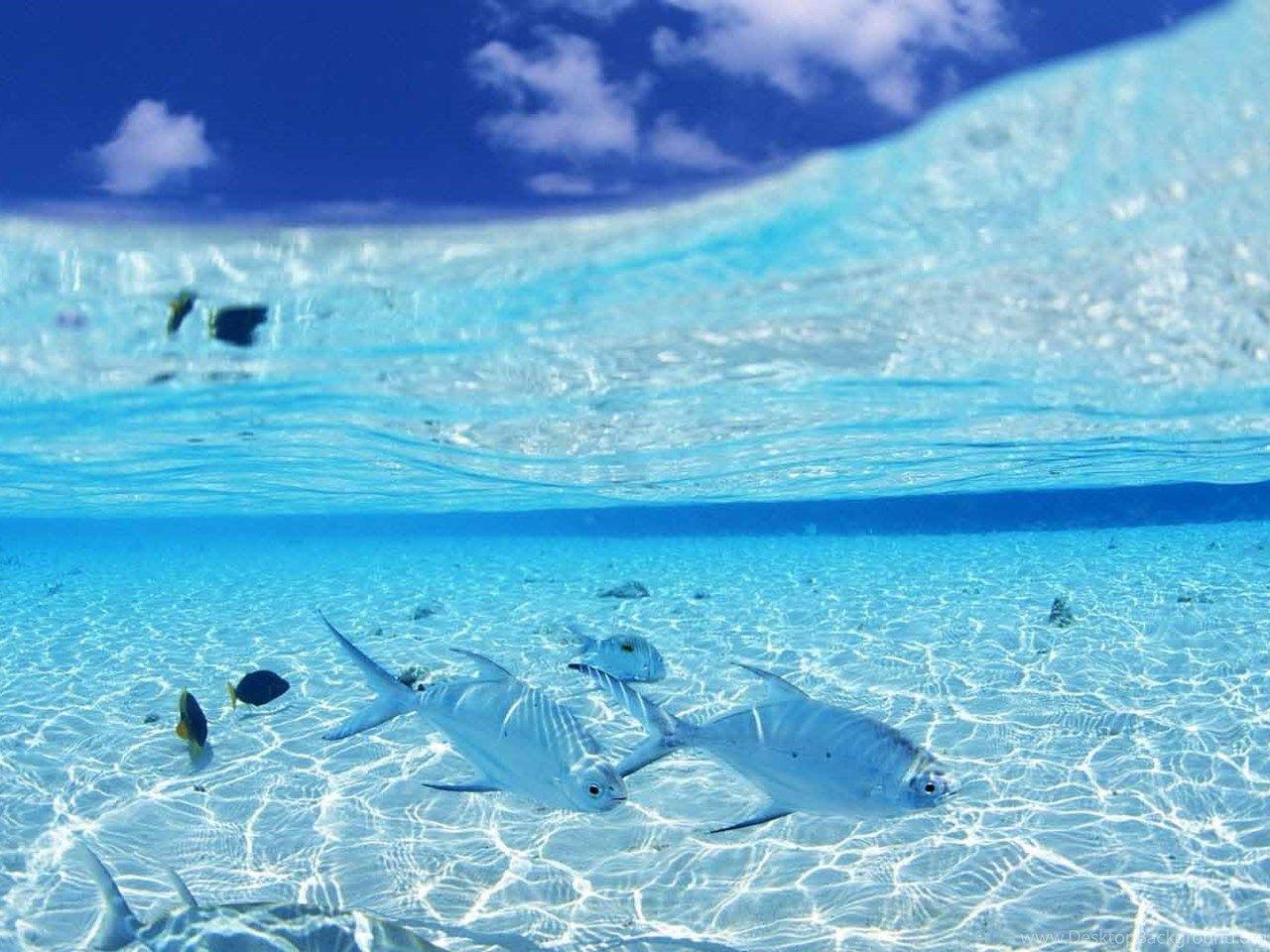 Кристальное море. Море фото. Прозрачное море. Голубая прозрачная вода. Мелководье в океане.