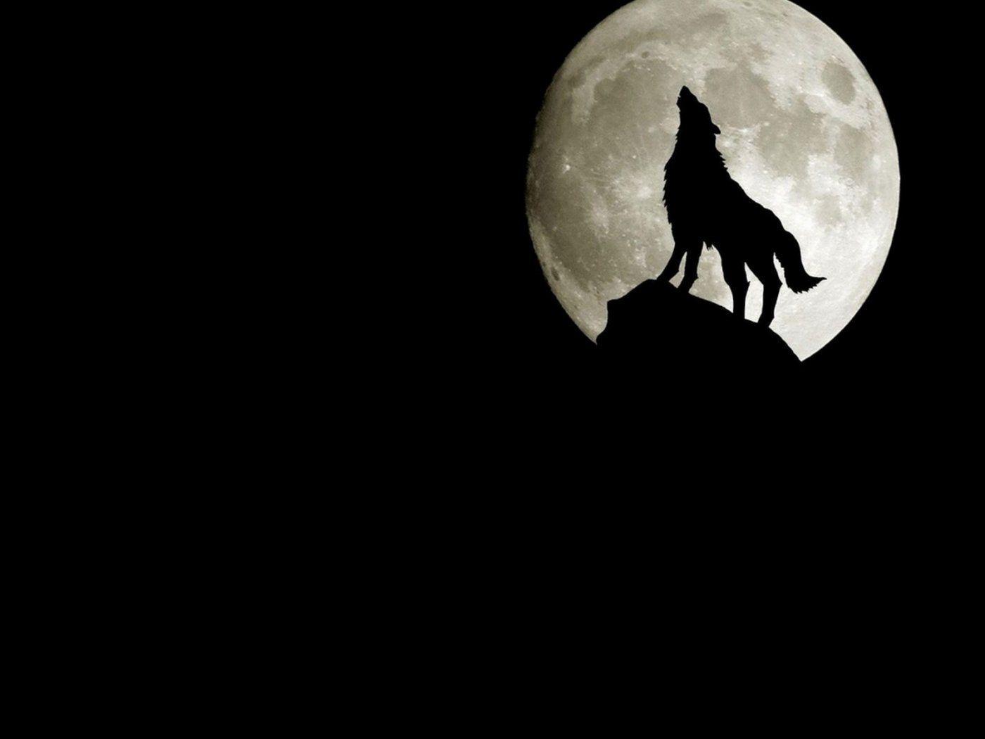 1400x1050 Wallpaper 960×800 Wolf Wallpaper Free .com