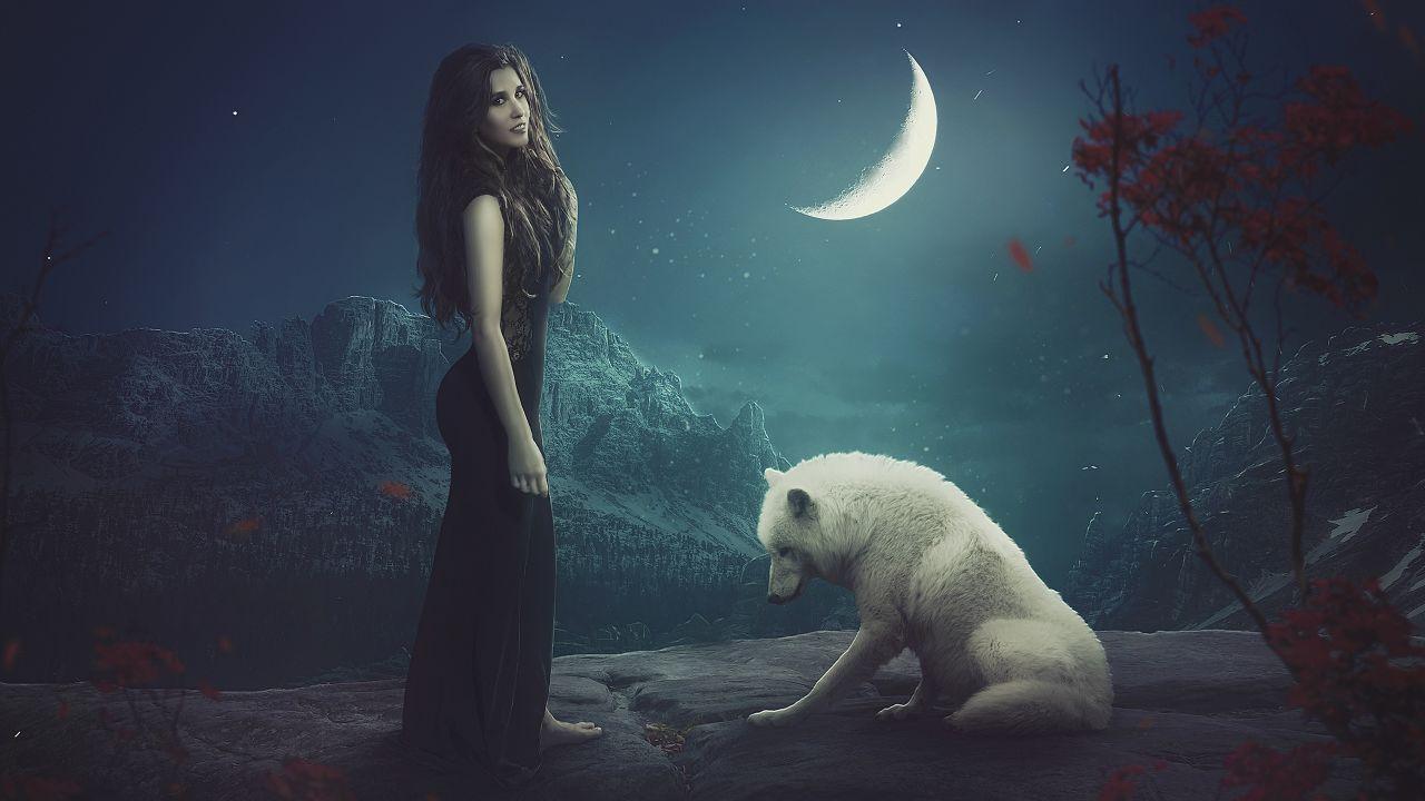 1280x720 Wolf Moon Wallpaper HD