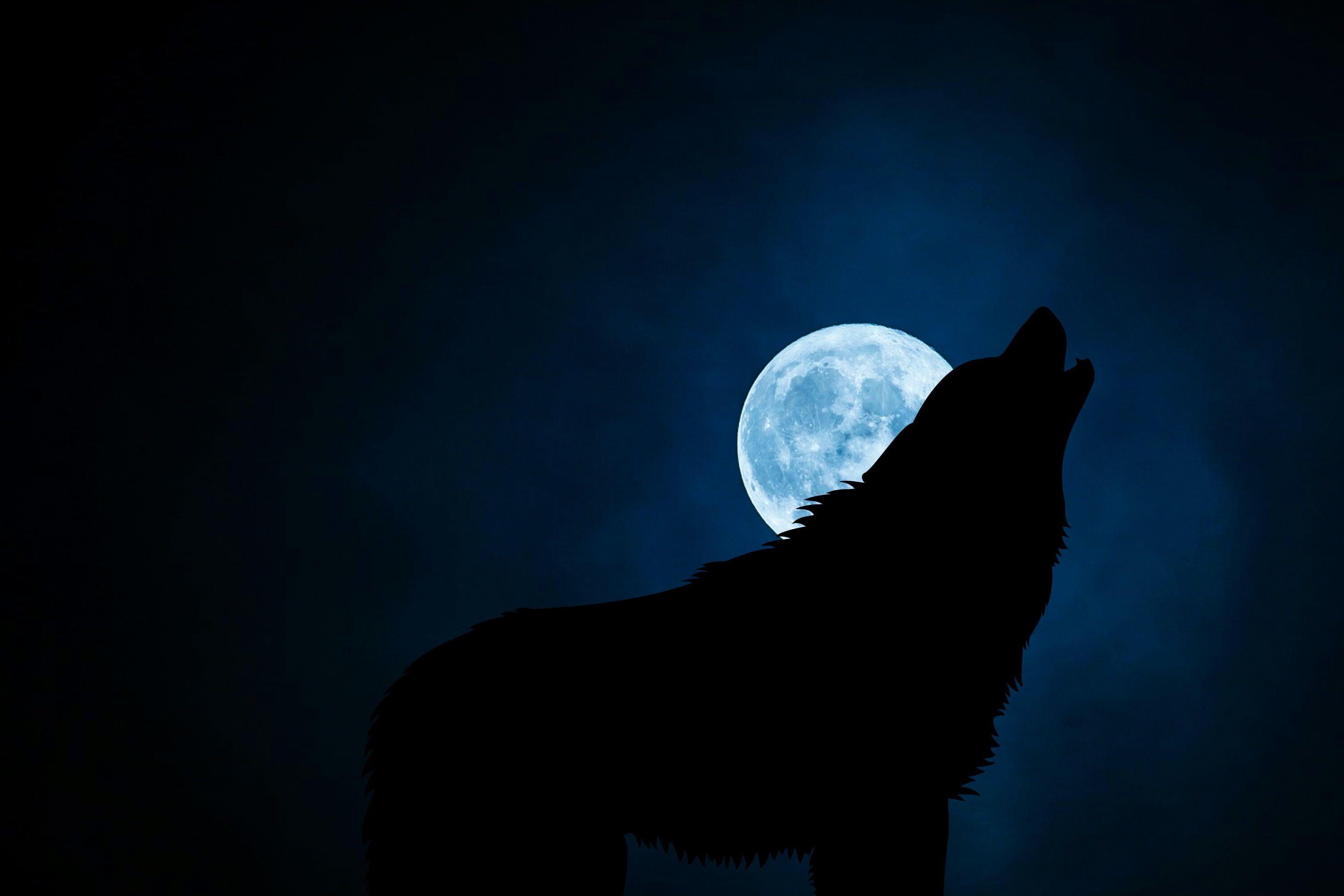 3000x2000 Wolf Howling At The Moon Wallpaper .