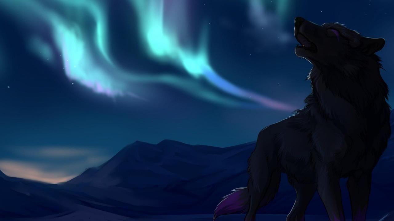 1280x720 Wolf Howling At The Moon Wallpaper Blue