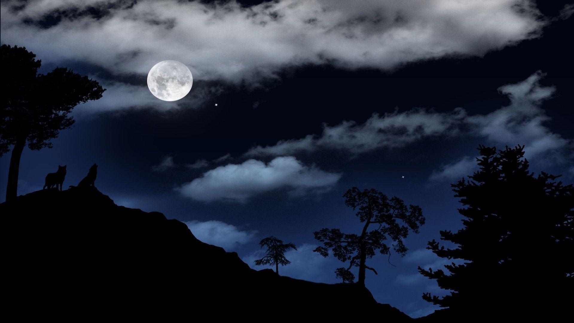 1920x1080 Full Moon Wolf Wallpaper Wallpaperhd