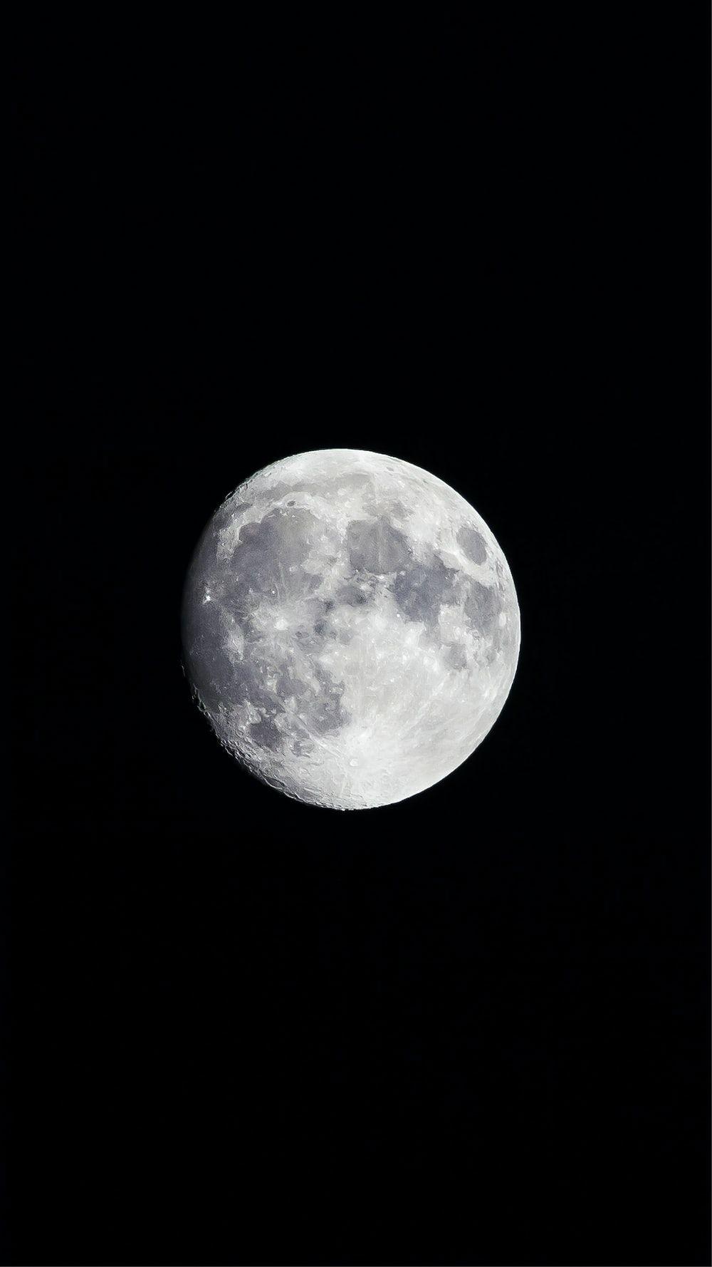 1000x1778 Wolf Night Picture. Download Free .com