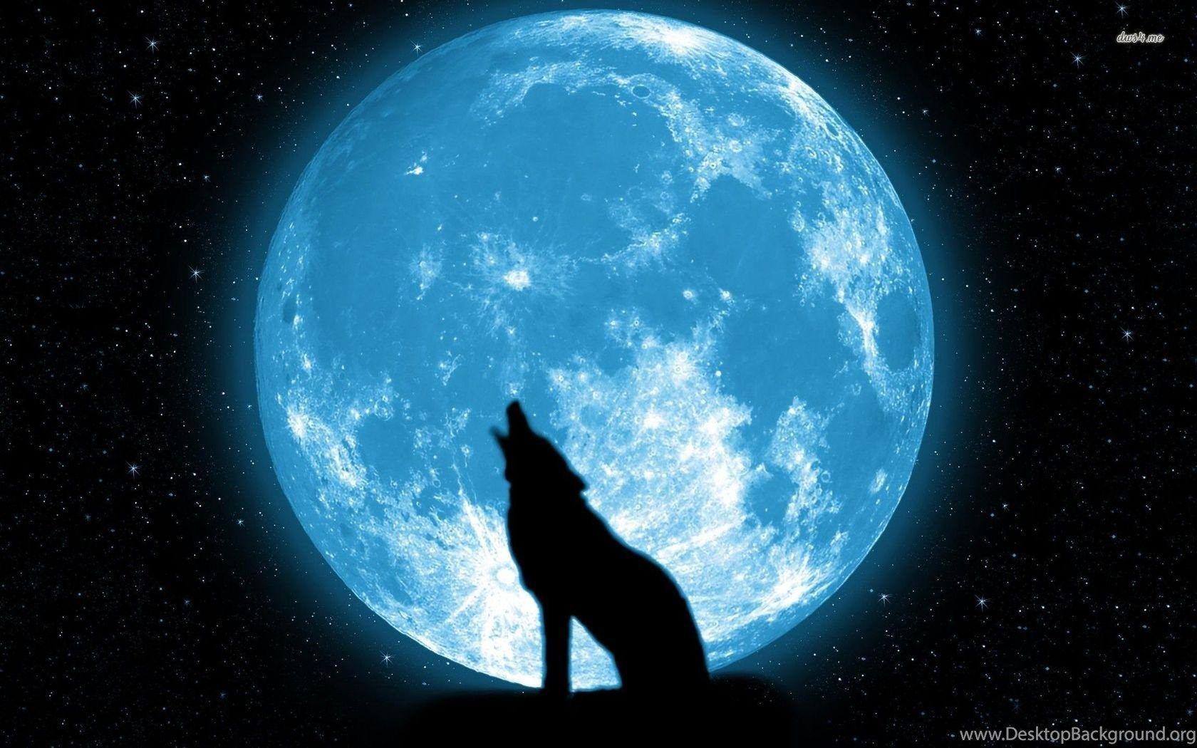 1680x1050 Full Blue Moon Wolf Wallpaper. Desktop .