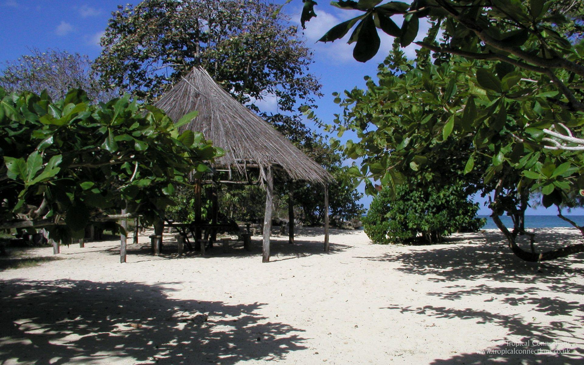1920x1200 Jamaica Wallpaper .com