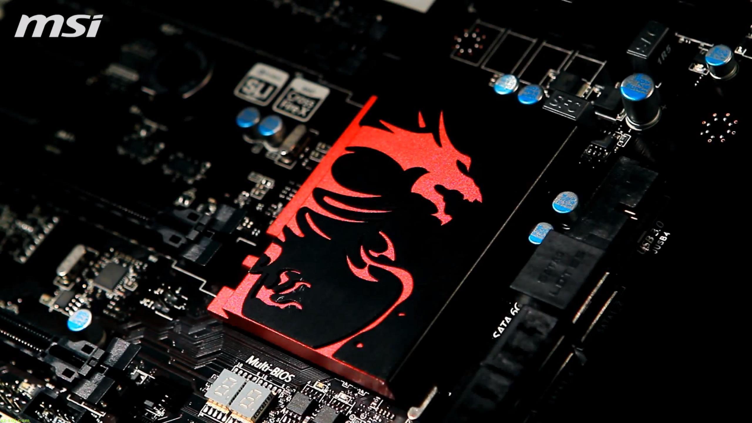 2560x1440 MSI Wallpaper