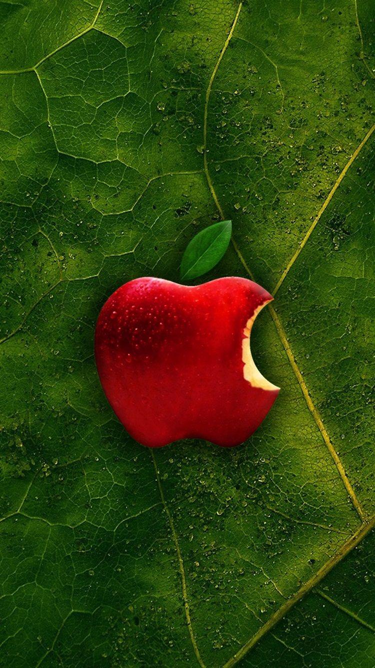 Red Apple Logo iPhone 6 Wallpapers Top Free Red Apple Logo iPhone 6