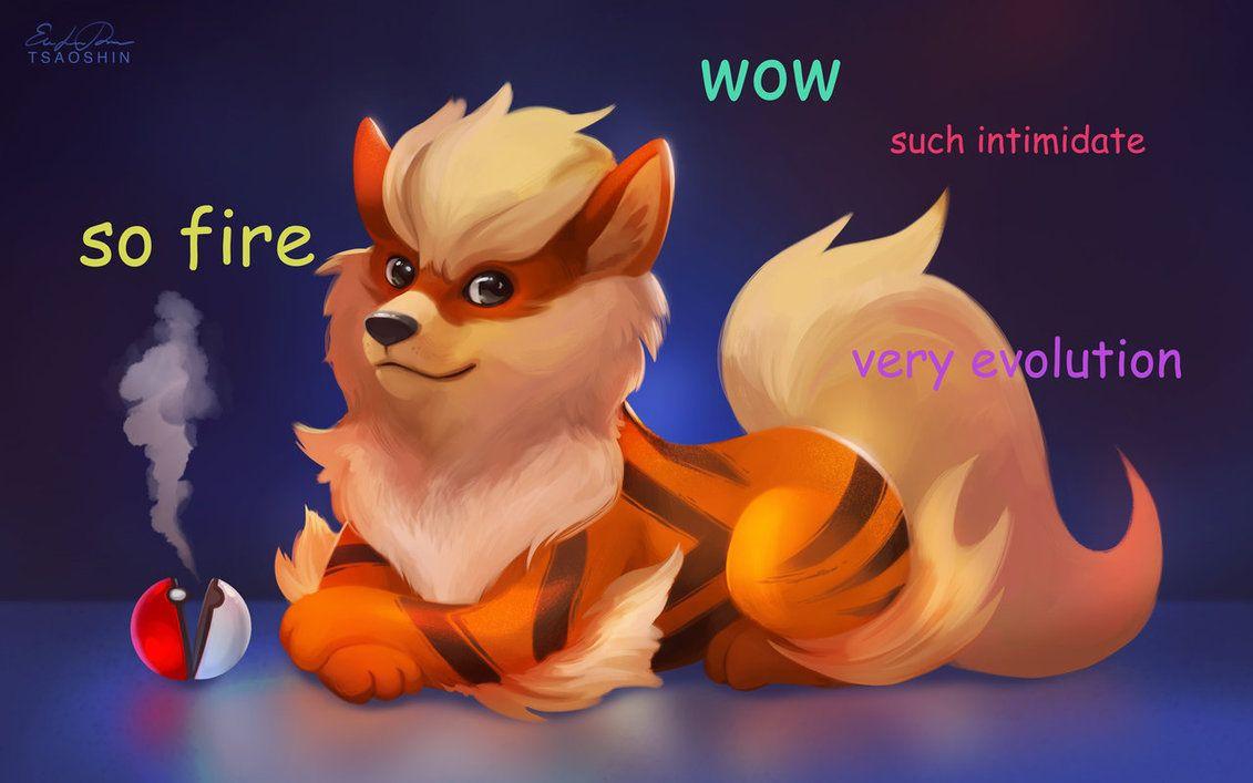 1131x707 Such Arcanine
