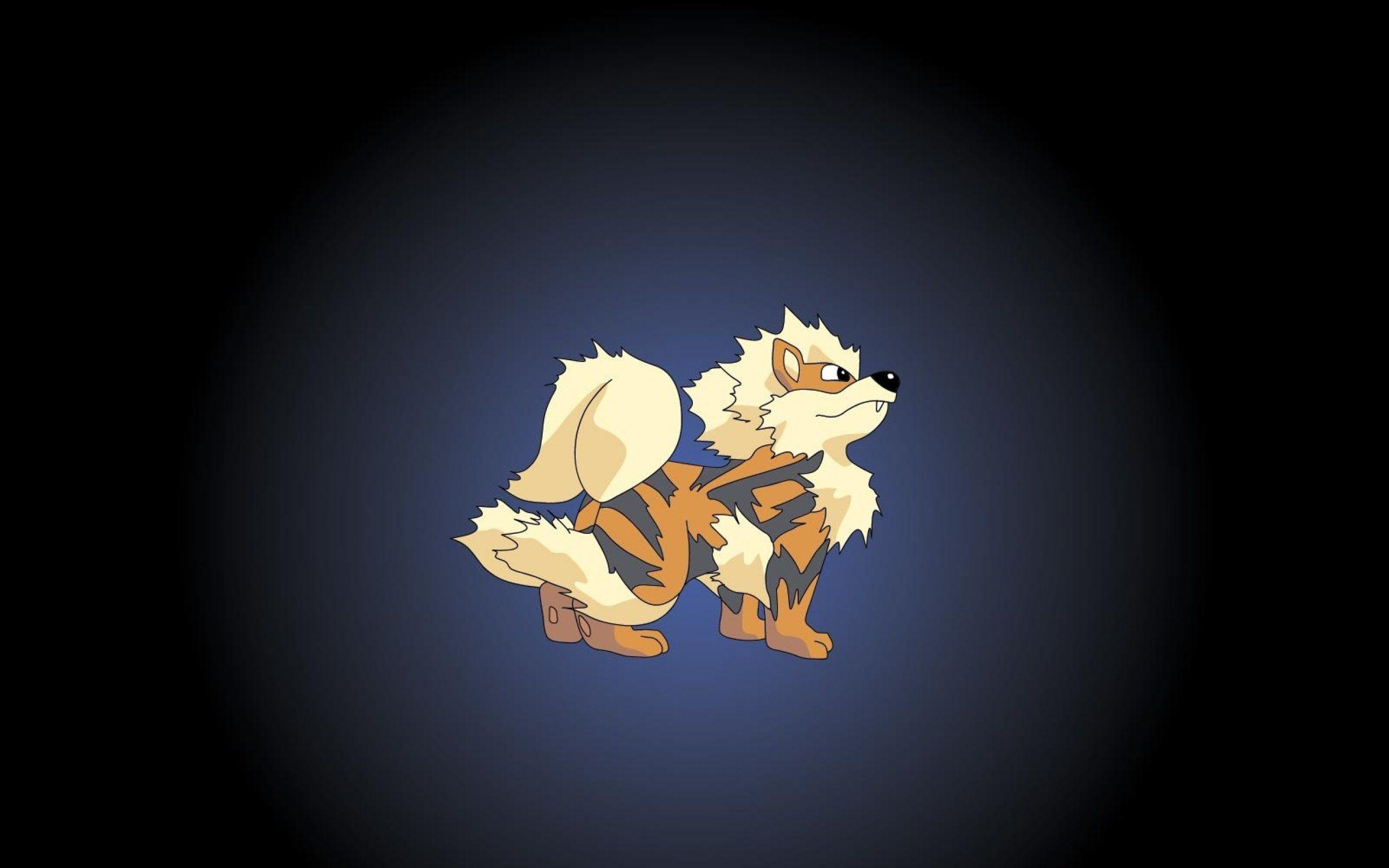 2560x1600 Arcanine T Shirt