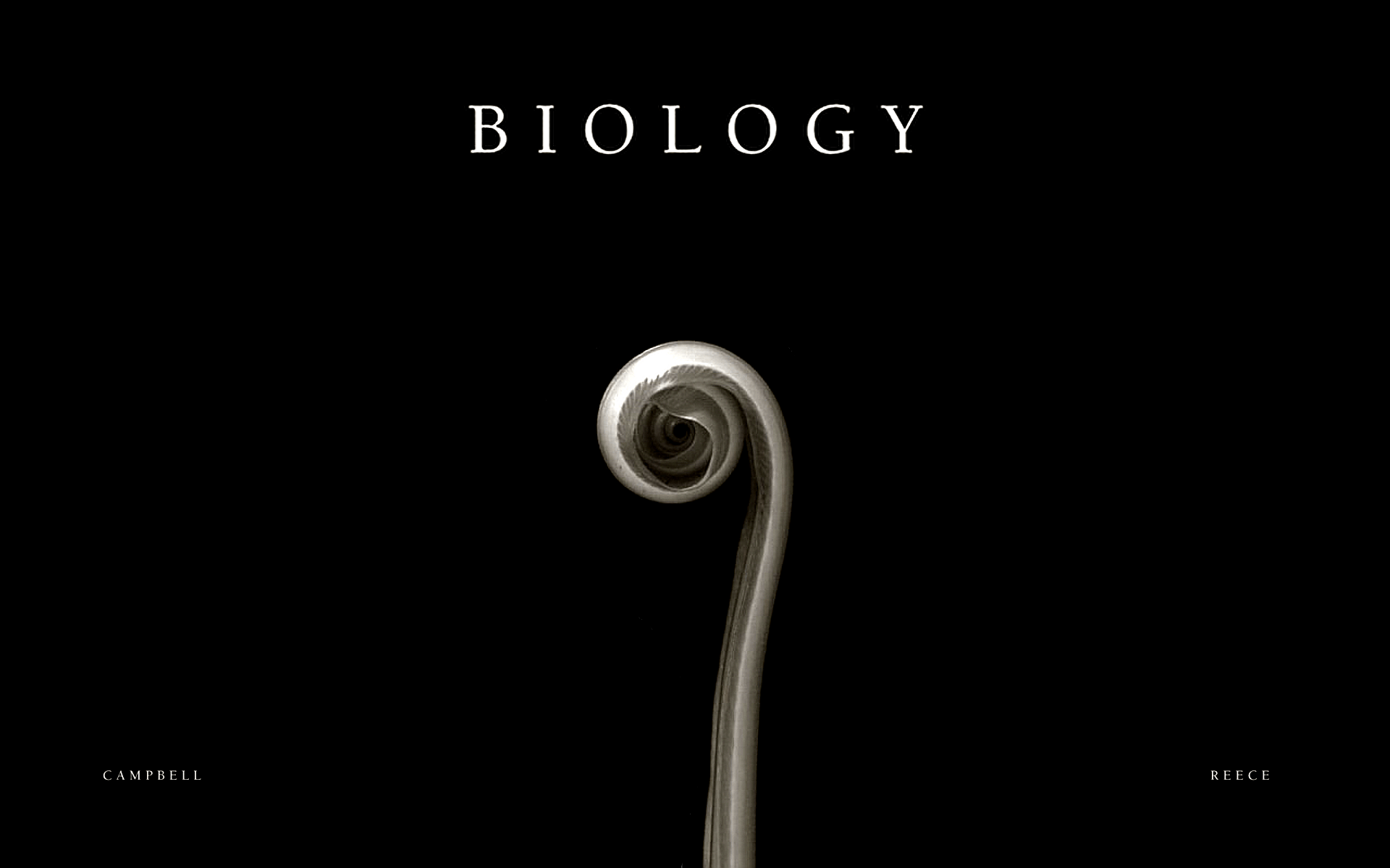 1920x1200 Biology Wallpaper, HD Biology Background