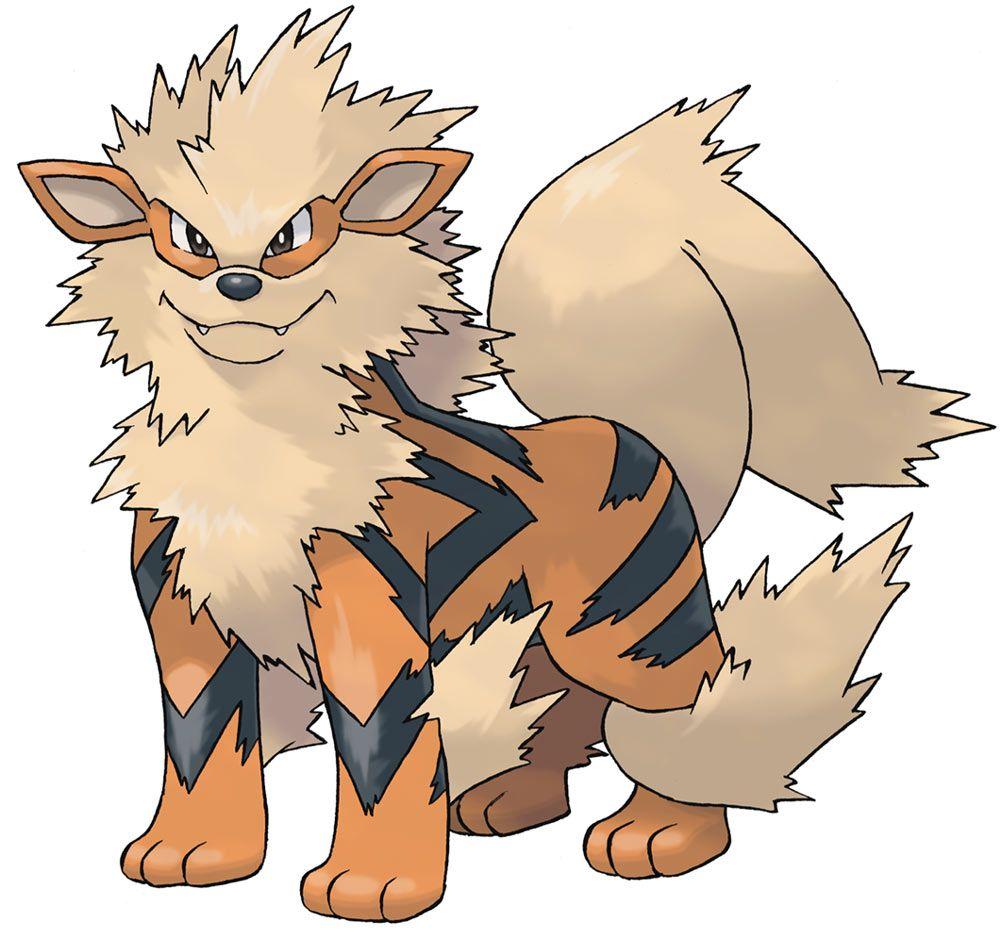 1000x940 3000x1500px Arcanine (786.53 KB).09.2015