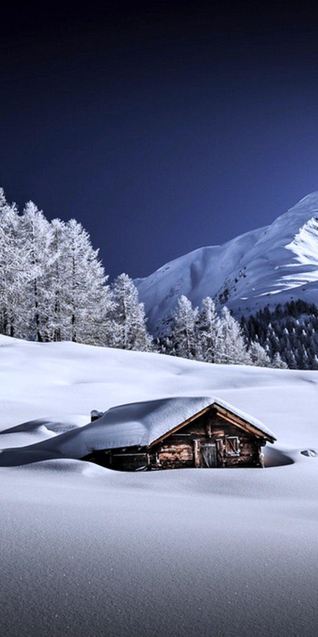 1080x2160 Frozen Winter Wallpaper [1080x2160]
