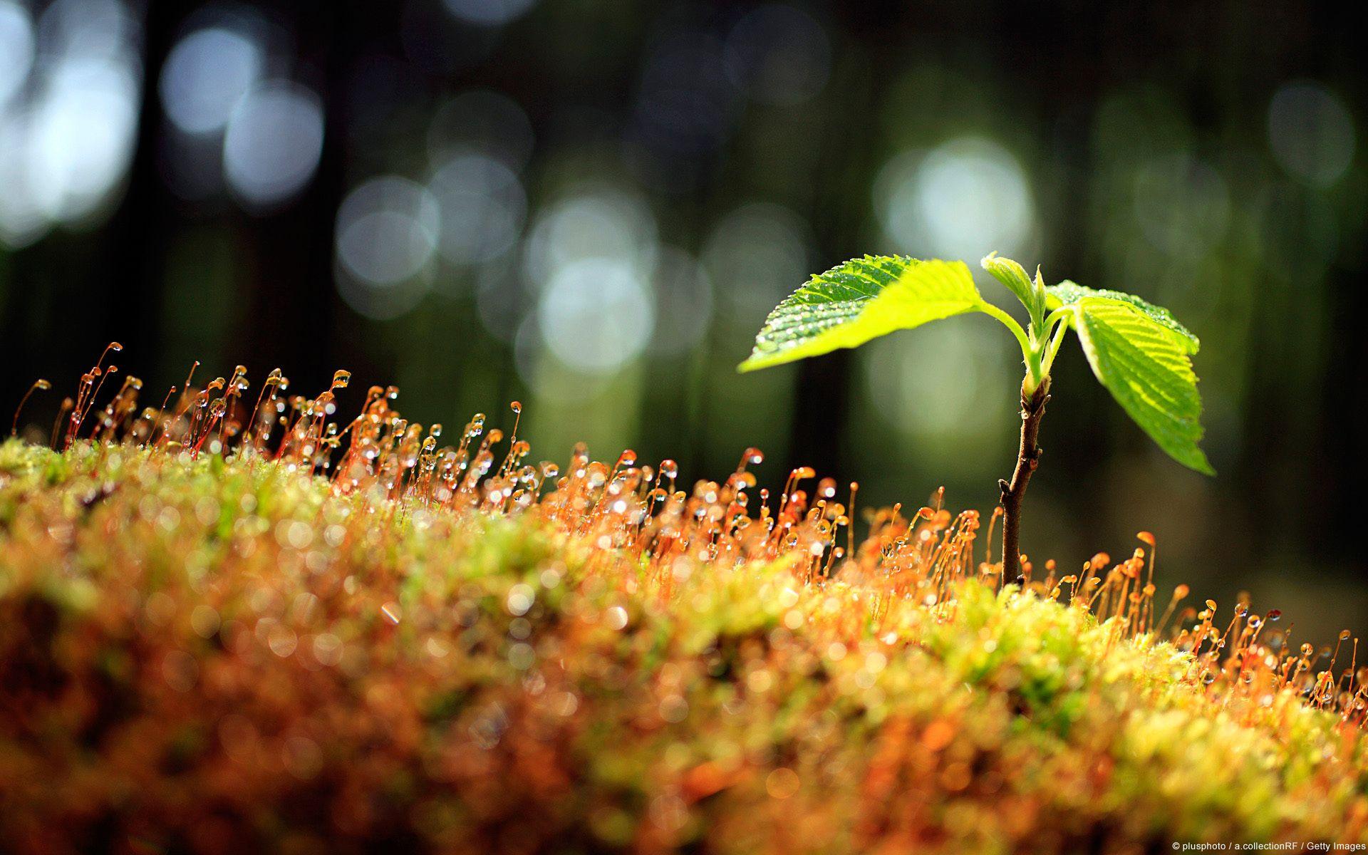 1920x1200 Desktop Wallpaper Photography Art