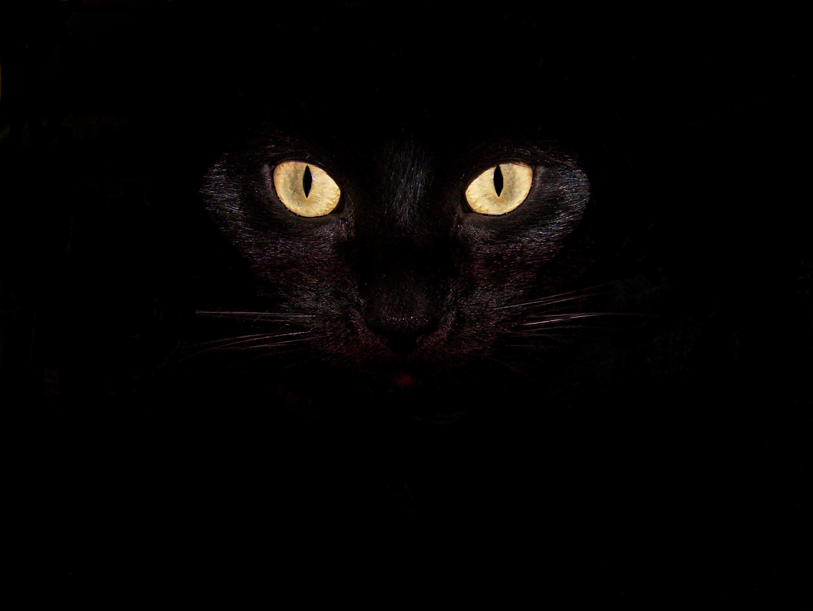 2832x2128 Wiccan Wallpaper