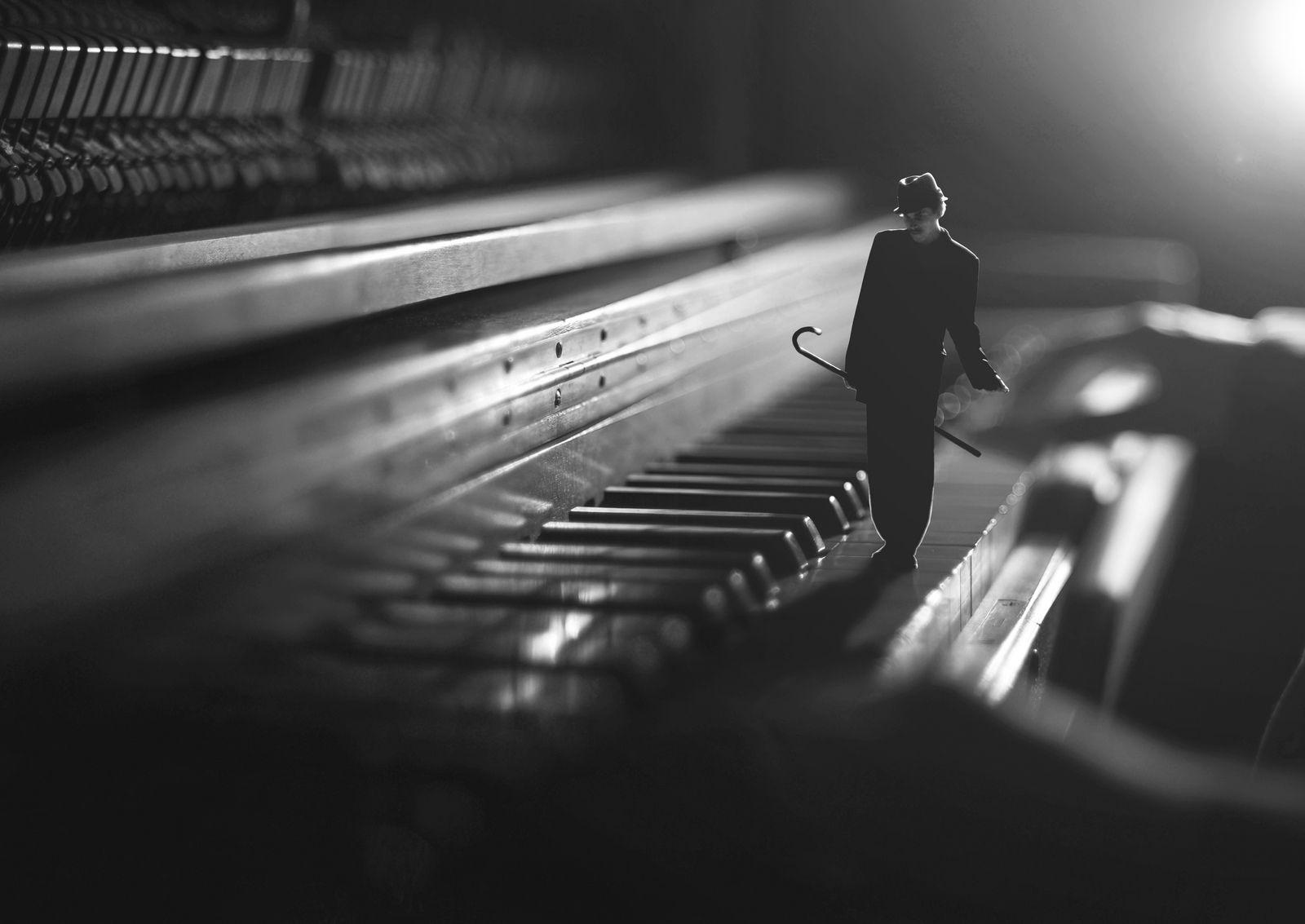 1600x1133 Small World by Zev, Fiddle Oak