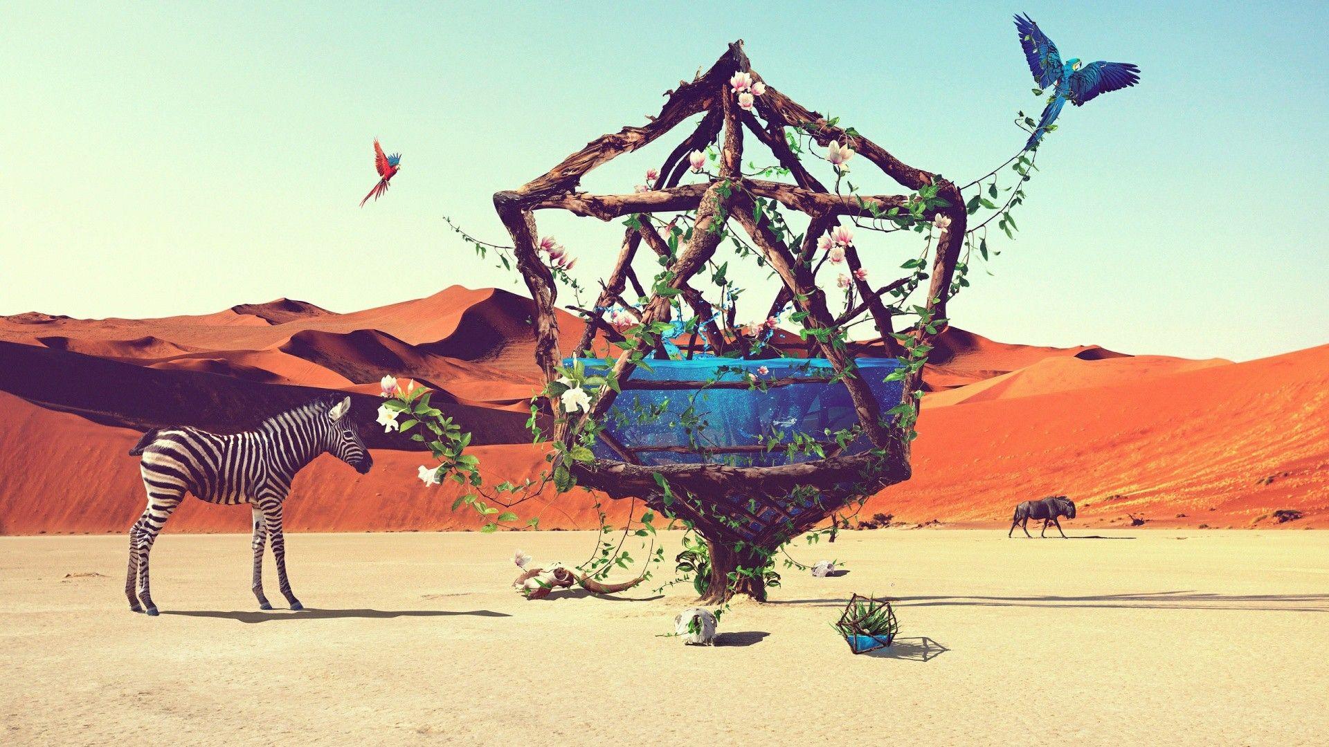 1920x1080 Free Life Desert Art Photography HD Wallpaper Download