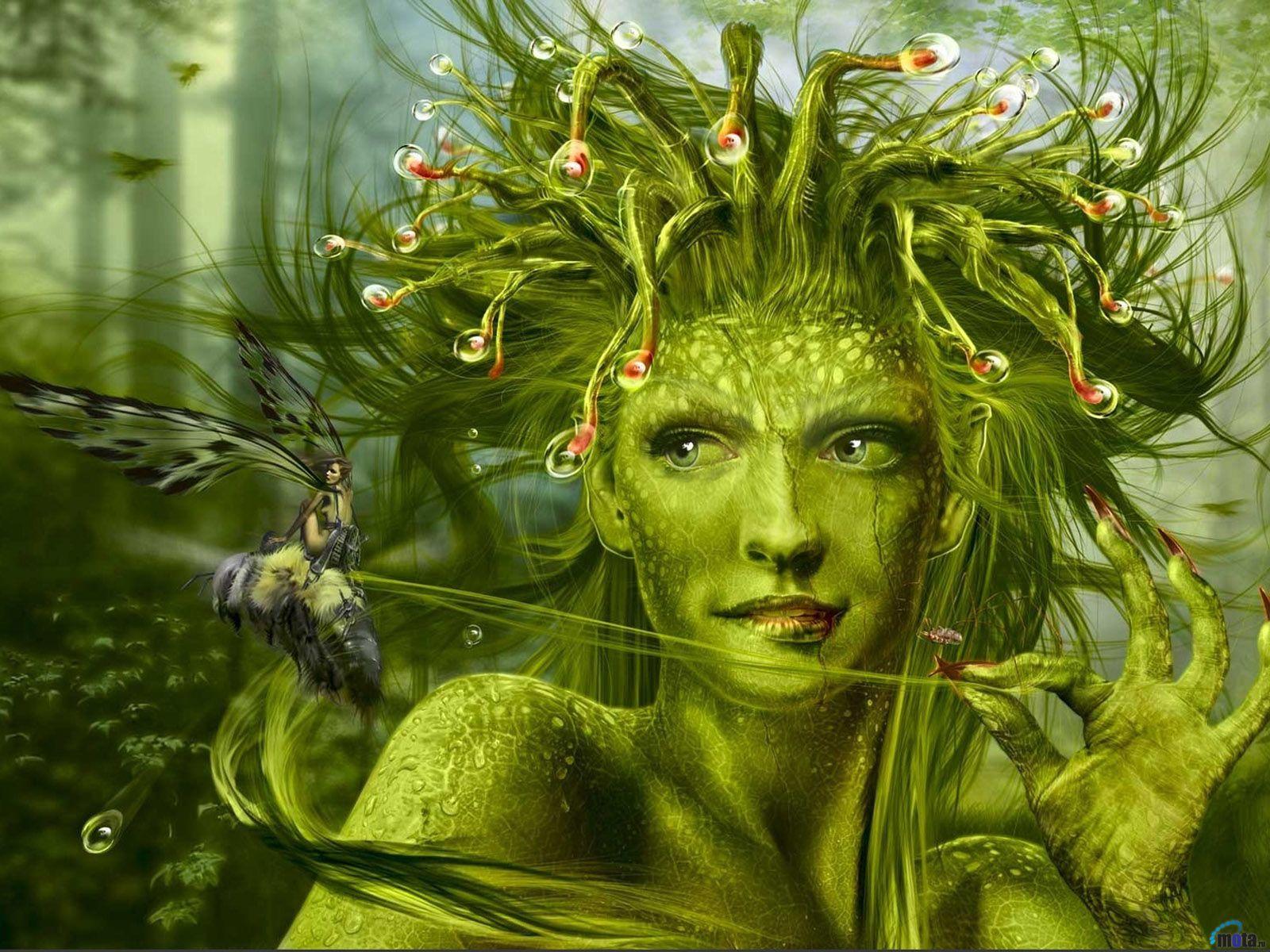 Green Fairy Wallpapers Top Free Green Fairy Backgrounds WallpaperAccess
