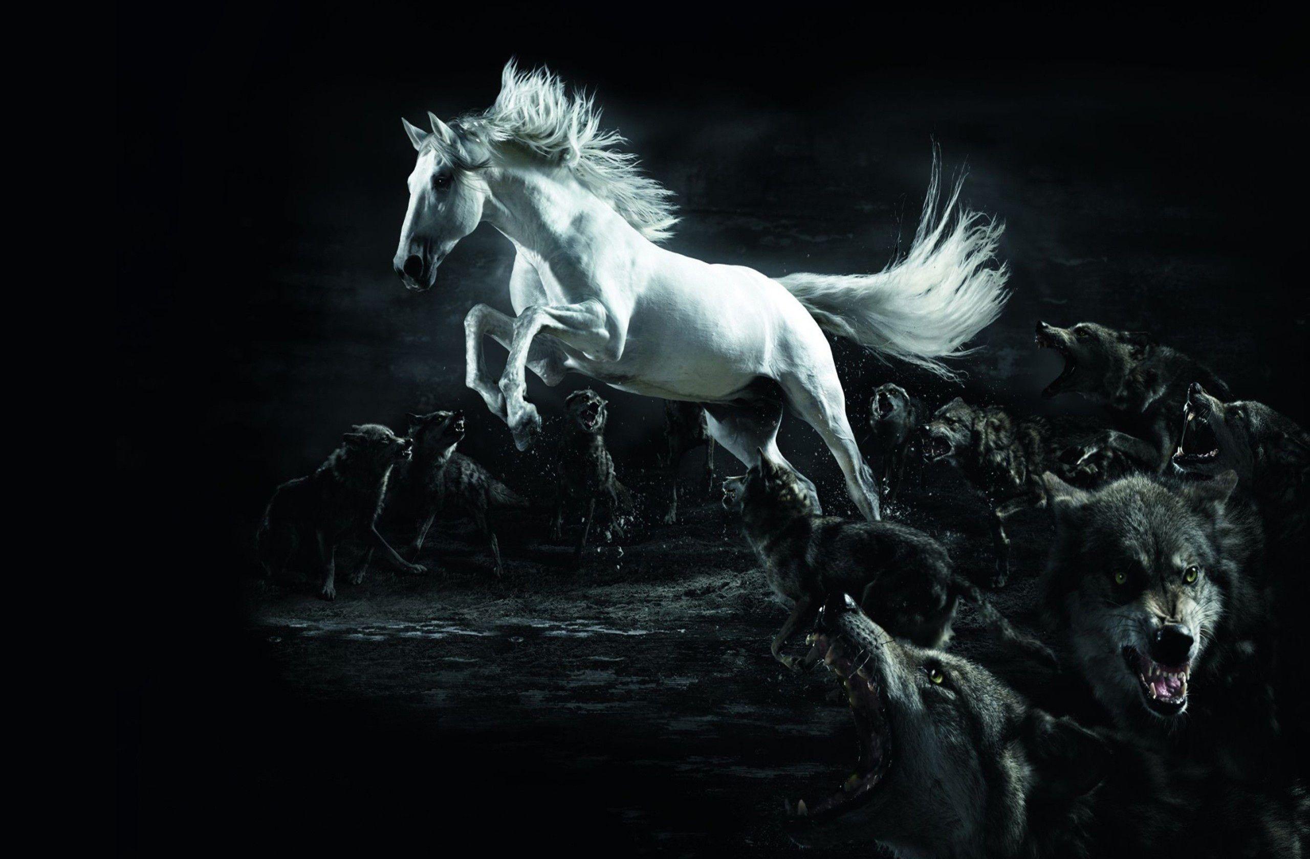 2560x1680 Ultra Widescreen Wallpaper Group Wallpaper