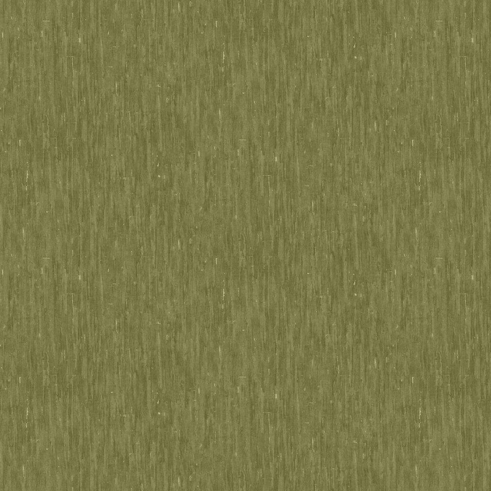 Moss Green Wallpapers Top Free Moss Green Backgrounds WallpaperAccess