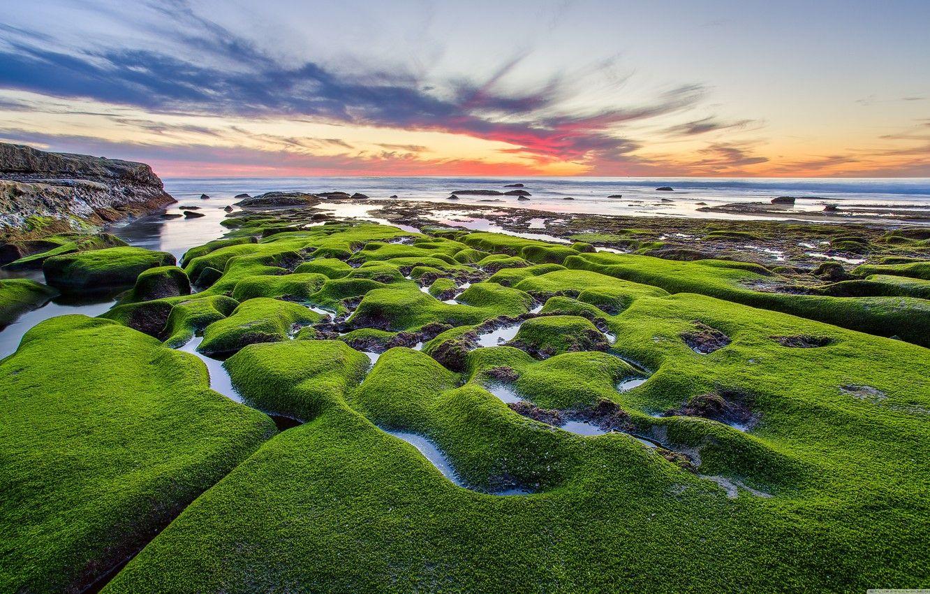 1332x850 Wallpaper sunset, stones, shore, Sea .