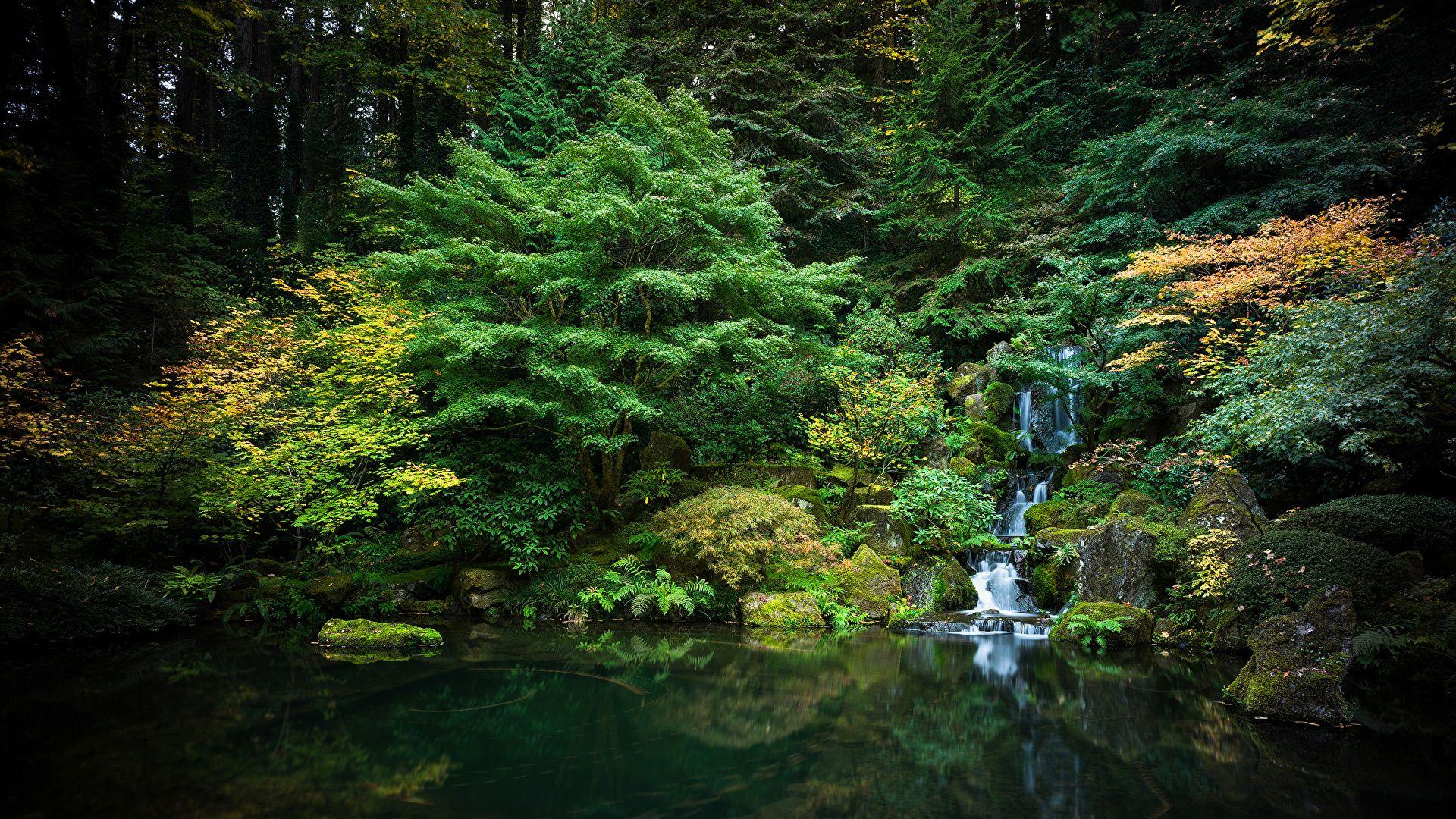 1920x1080 Picture USA Portland japanese garden .