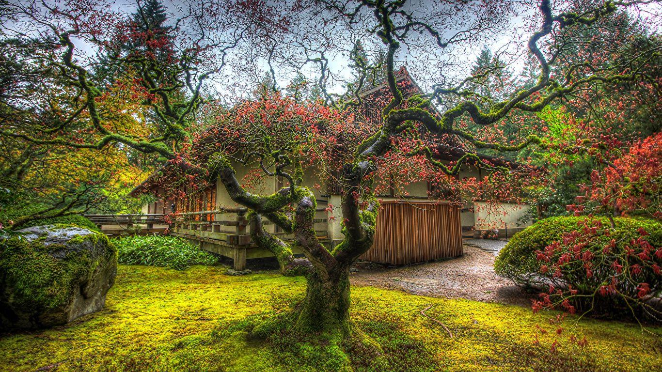 1366x768 Moss Gardent Desktop Wallpaper .