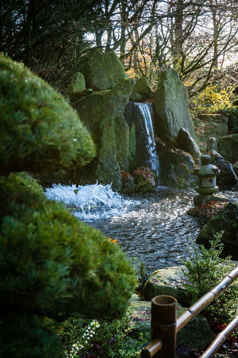 1000x1500 Water Garden Picture. Download Free .com