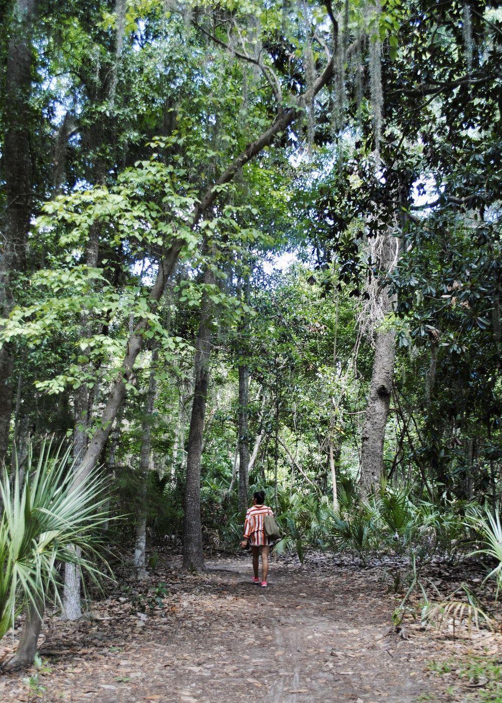 1000x1400 Spanish Moss Picture. Download Free .com