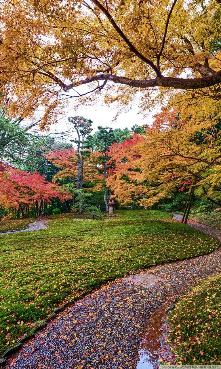 768x1280 Moss Garden Ultra HD Desktop Background Wallpaper for 4K UHD TV : Widescreen & UltraWide Desktop & Laptop : Tablet