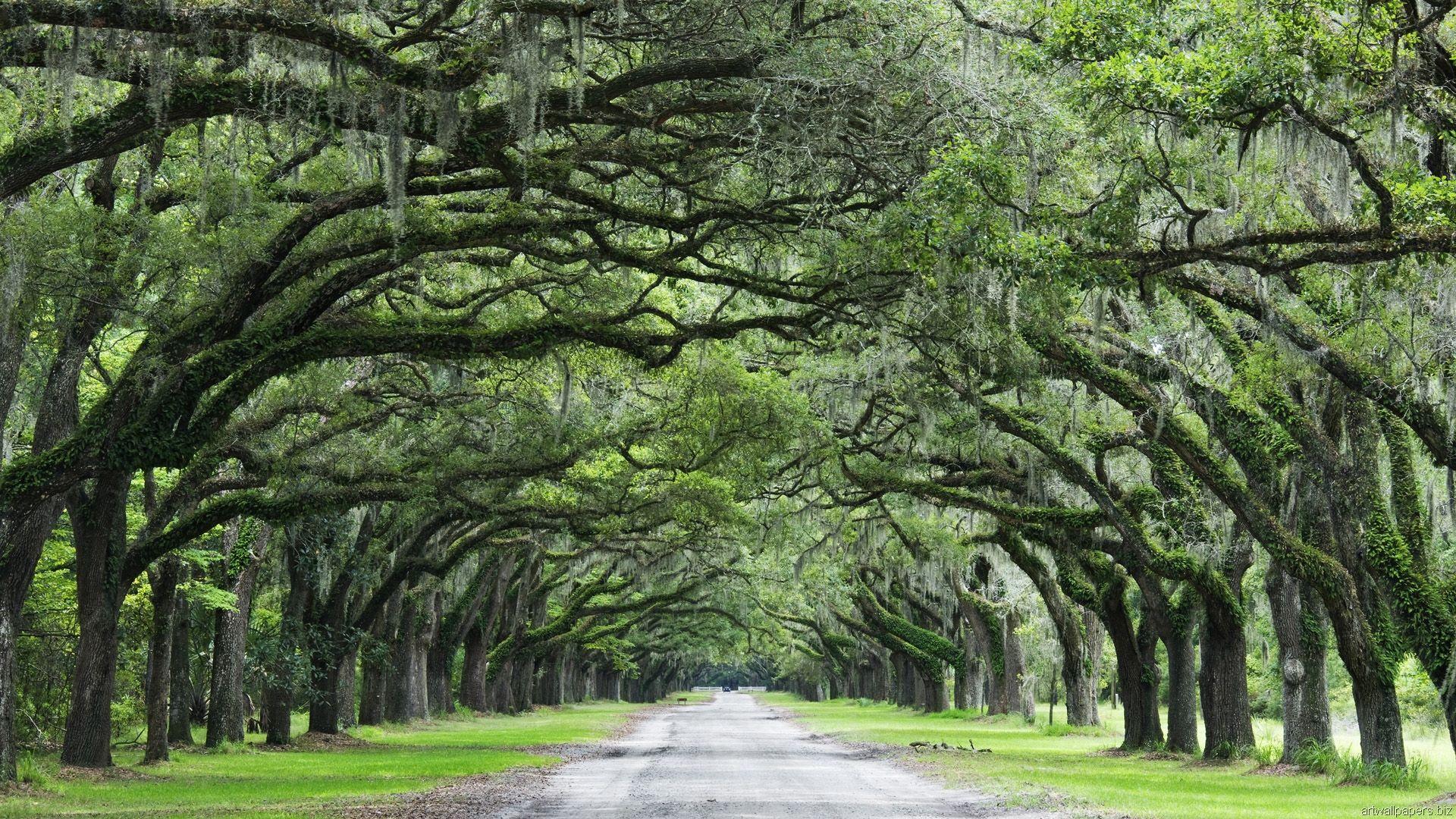 1920x1080 Savannah GA