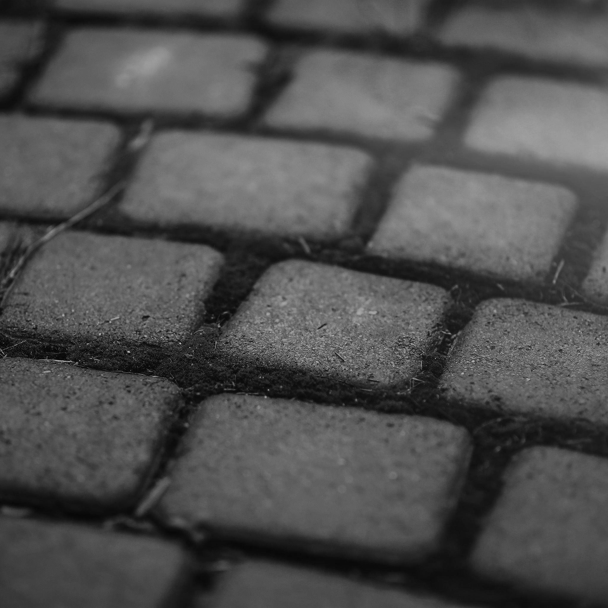 2048x2048 Garden Moss Stone Nature Road City Flare Dark iPad Air Wallpaper Free Download