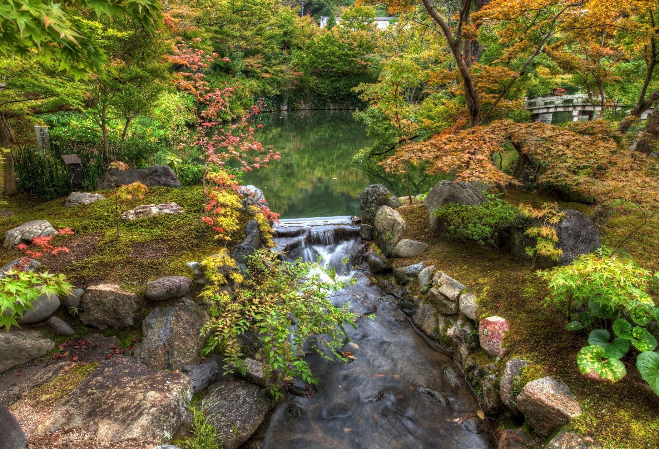 2110x1440 Moss Gardent Desktop Wallpaper .