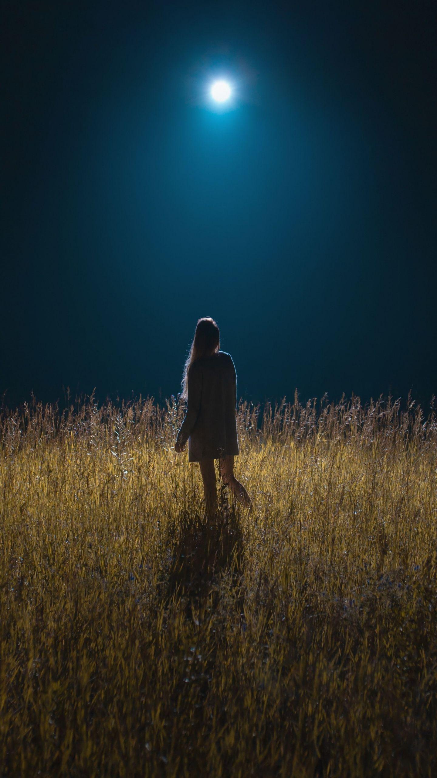 1440x2560 Girl on field, silhouette .com