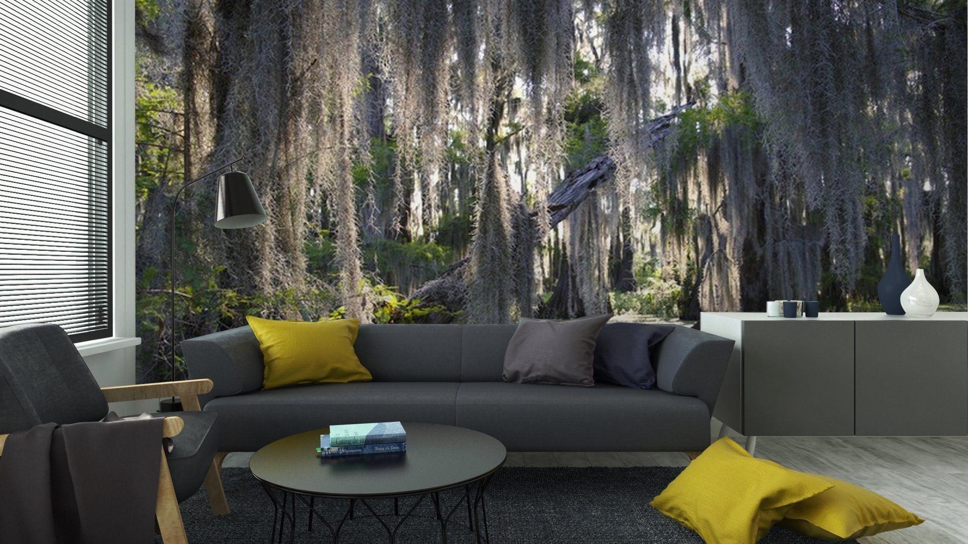1920x1080 Forest wall mural, Wall murals .com
