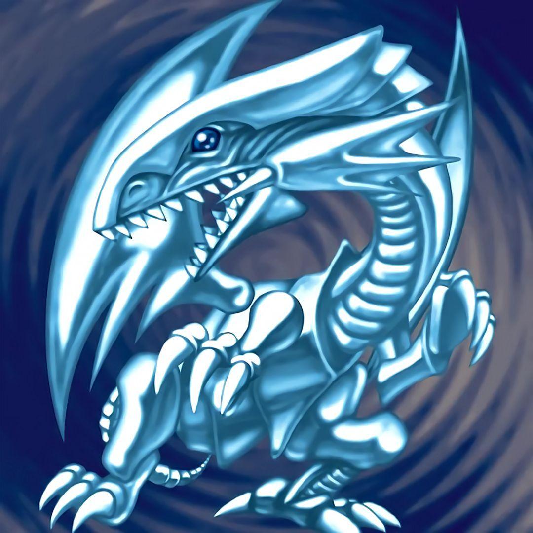 1080x1080 Blue Eyes White Dragon Bihaeng Tim .com