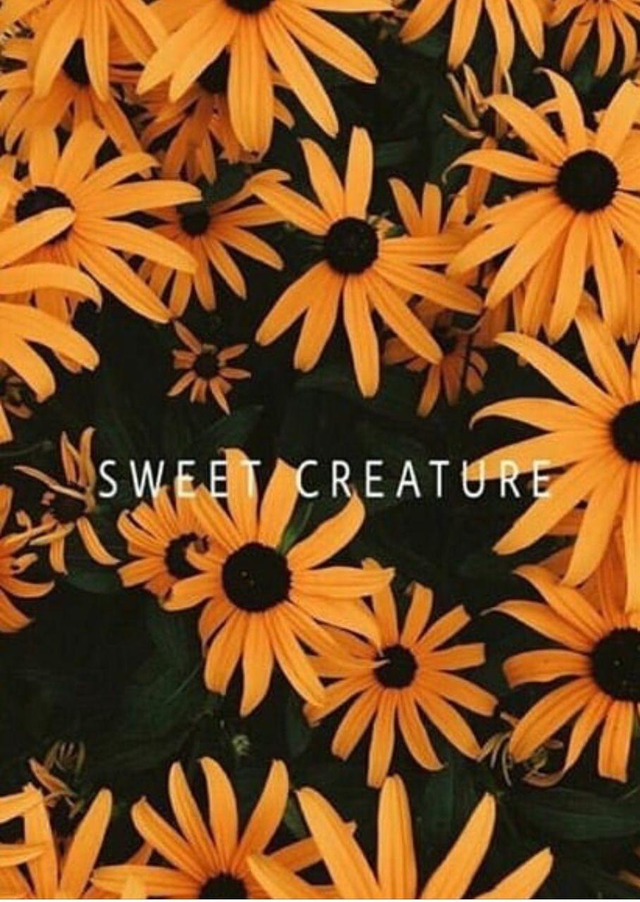 908x1280 Image about nature in Harry Styles by .