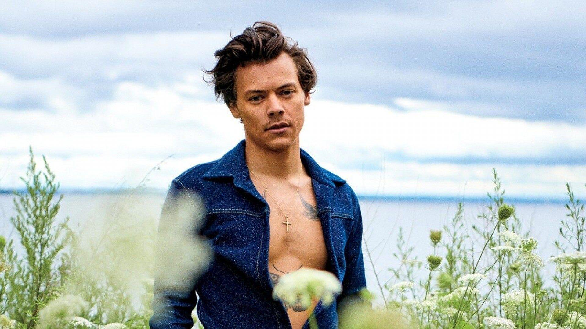 1920x1080 Harry Styles Fans Are Losing It Over .